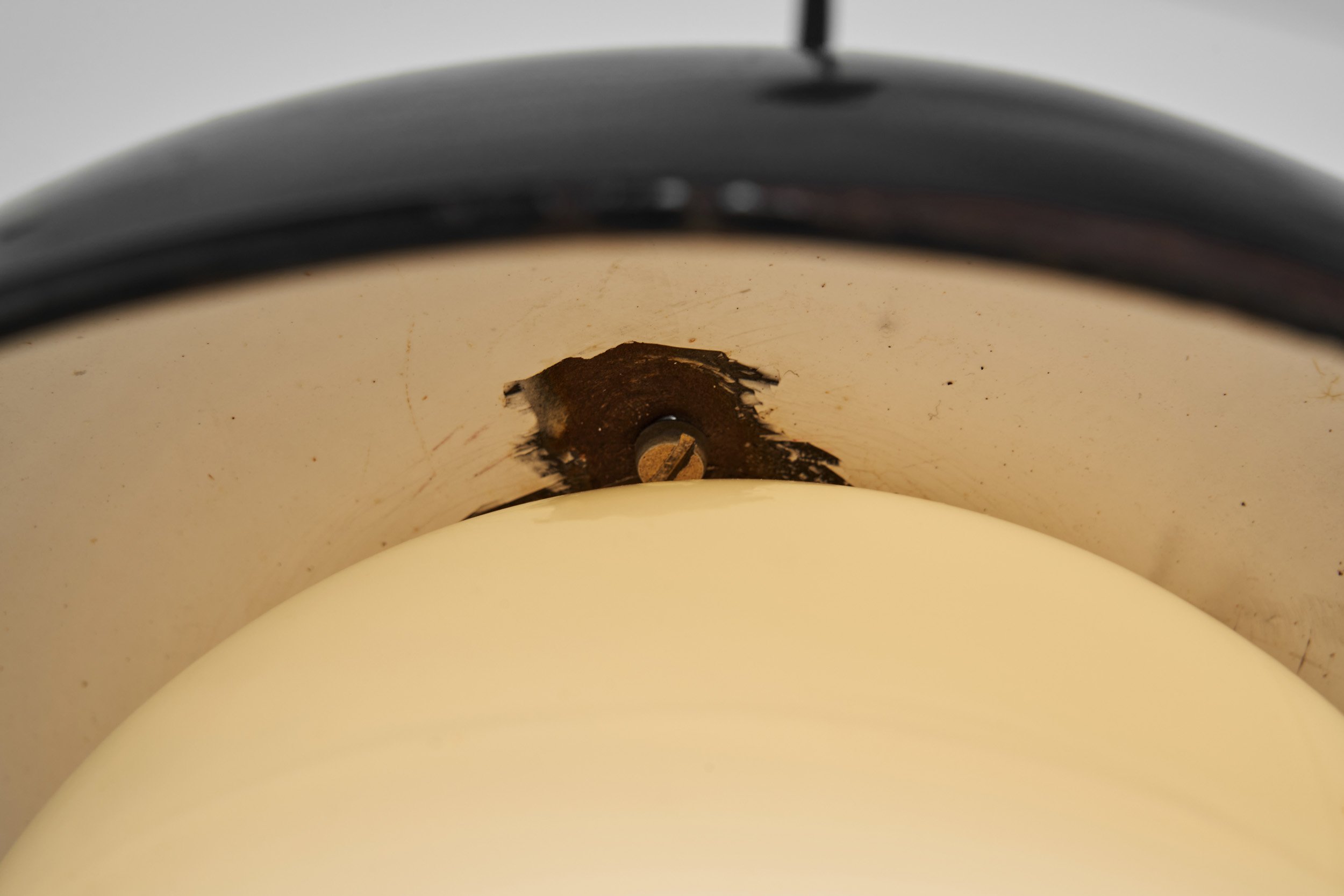 DSC03472 Details.jpg