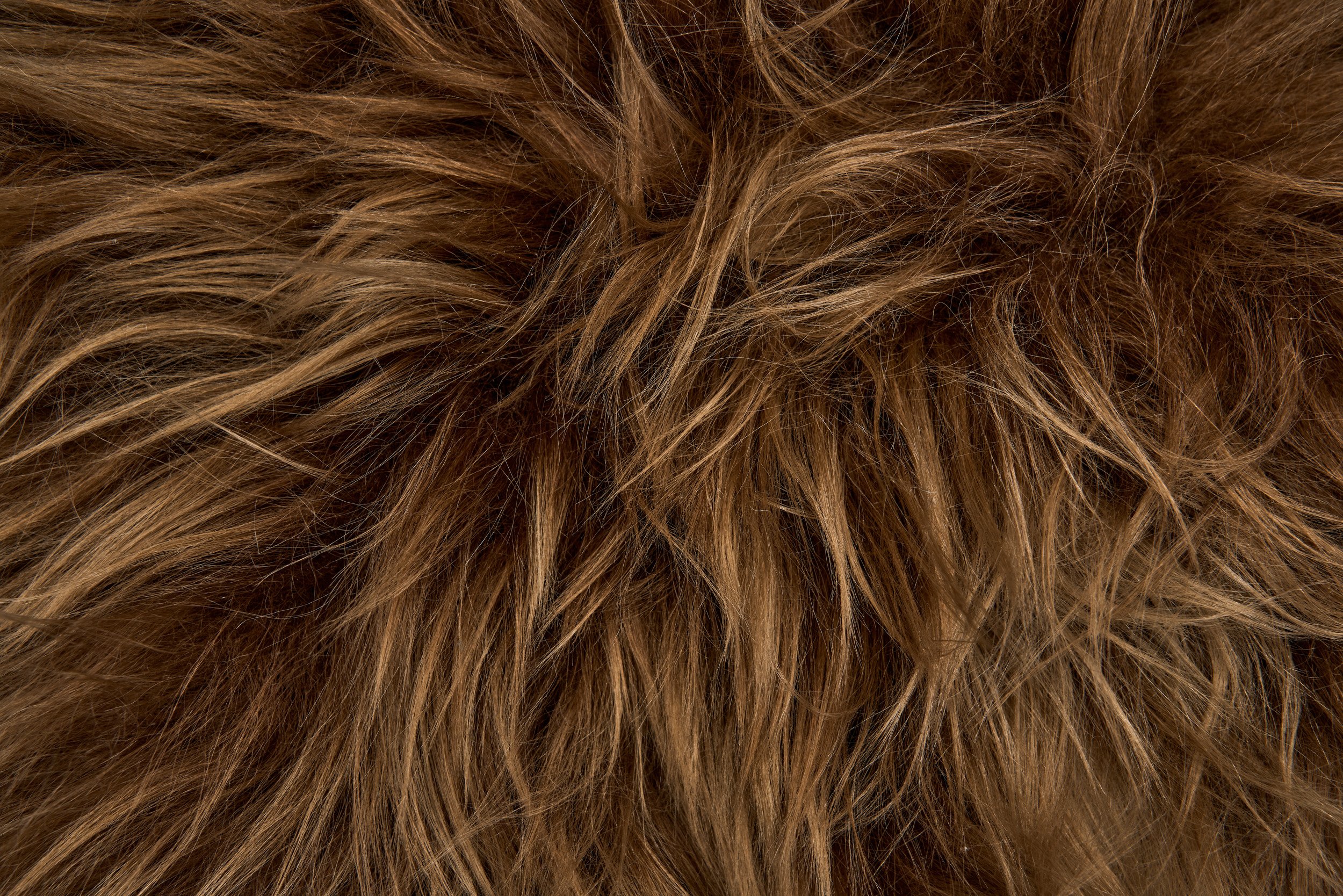 DSC06004 Details.jpg