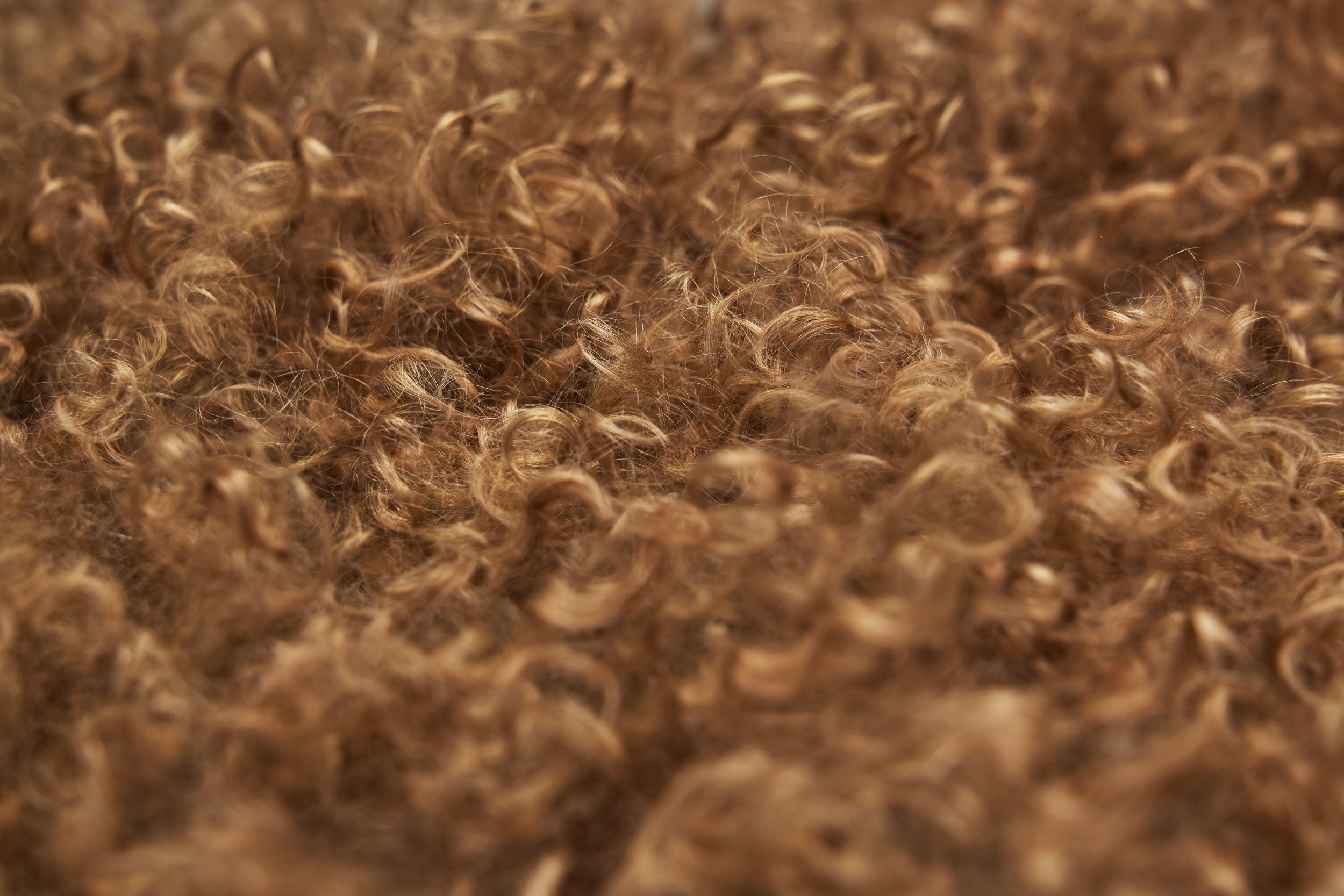 DSC08964 Details.jpg