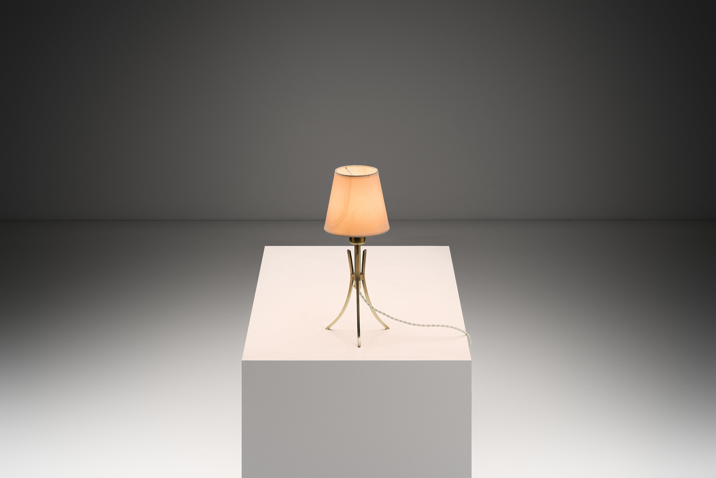 2026-01-23_20253679_2134 1.jpg