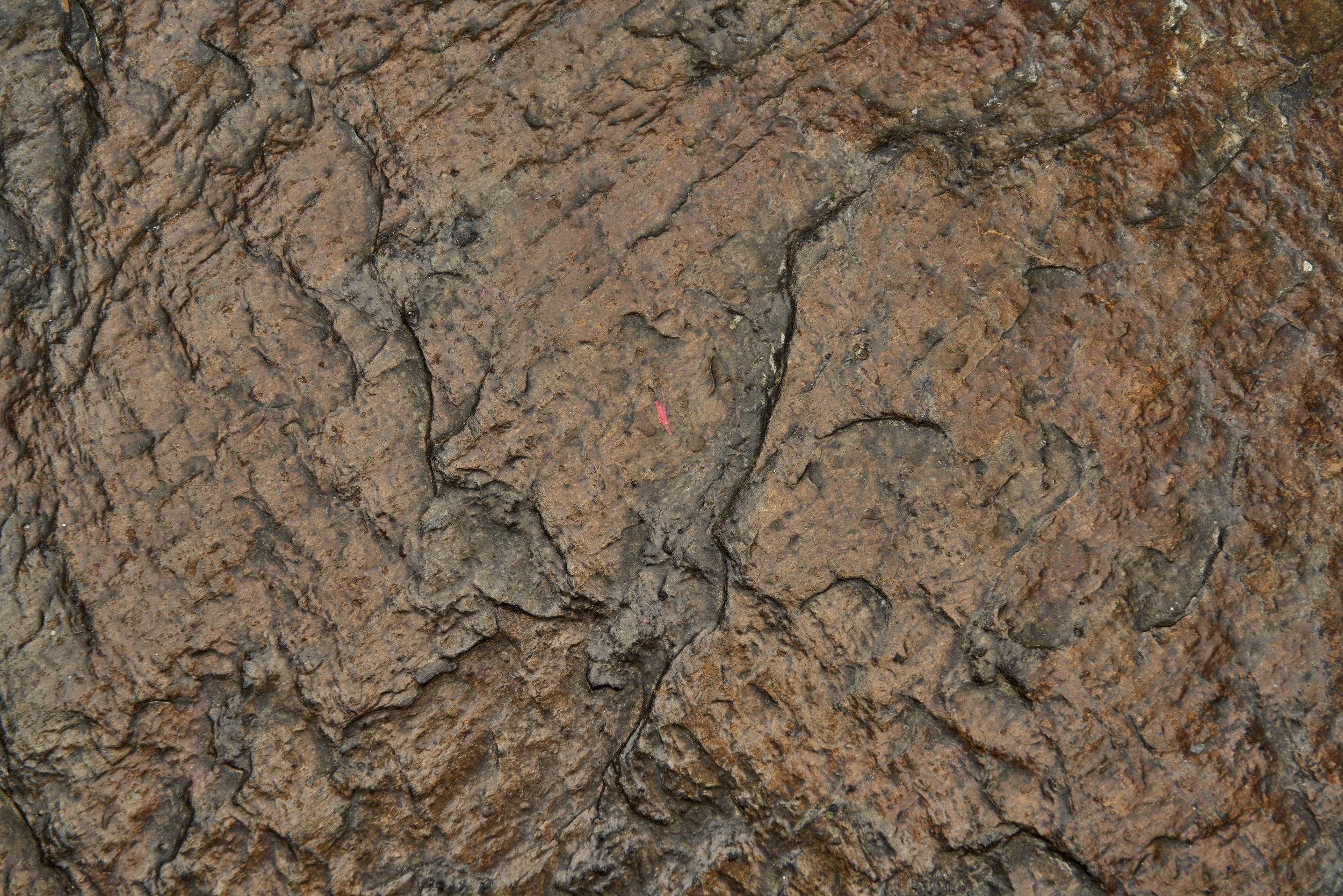 DSC04594_Details.jpg
