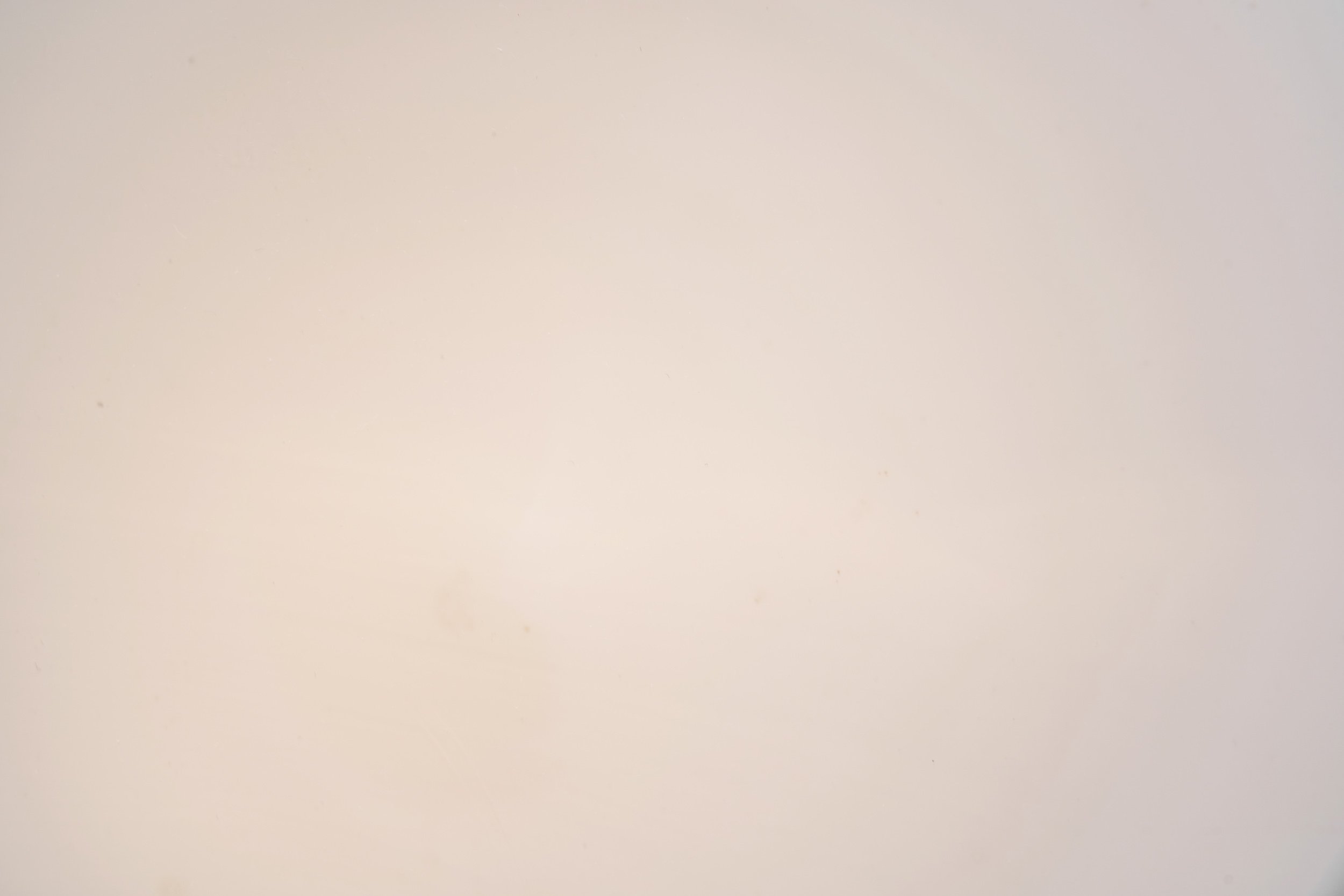DSC07528_Details.jpg