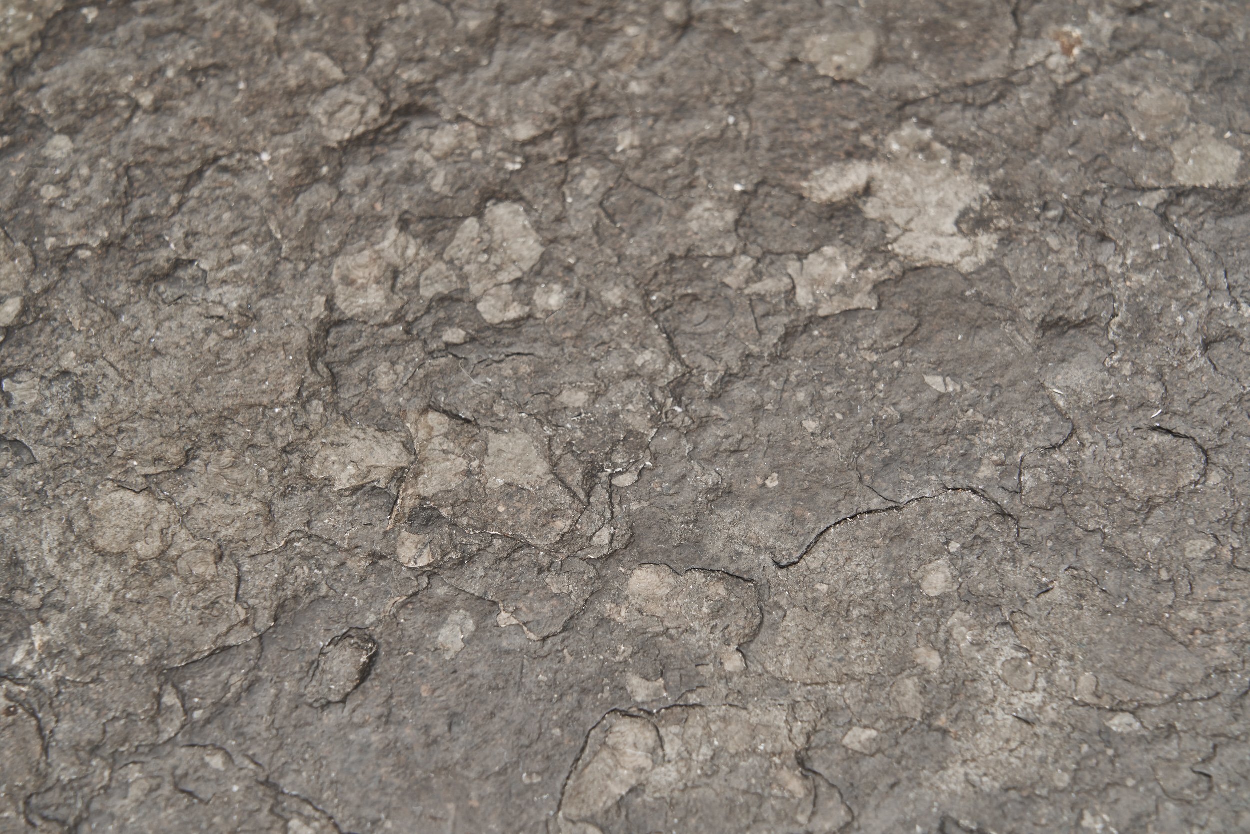 DSC06639_Details.jpg