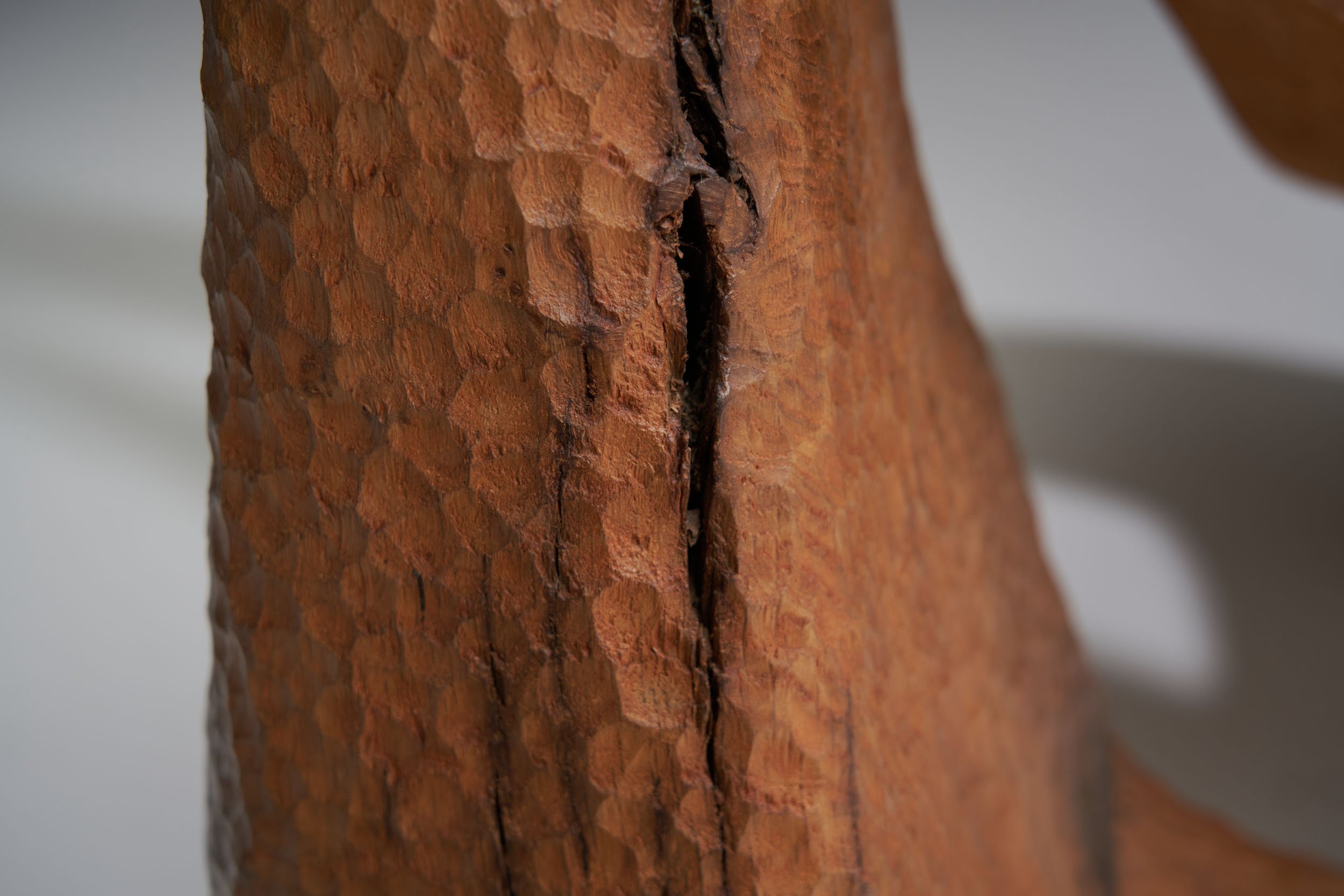 DSC06283 details.jpg