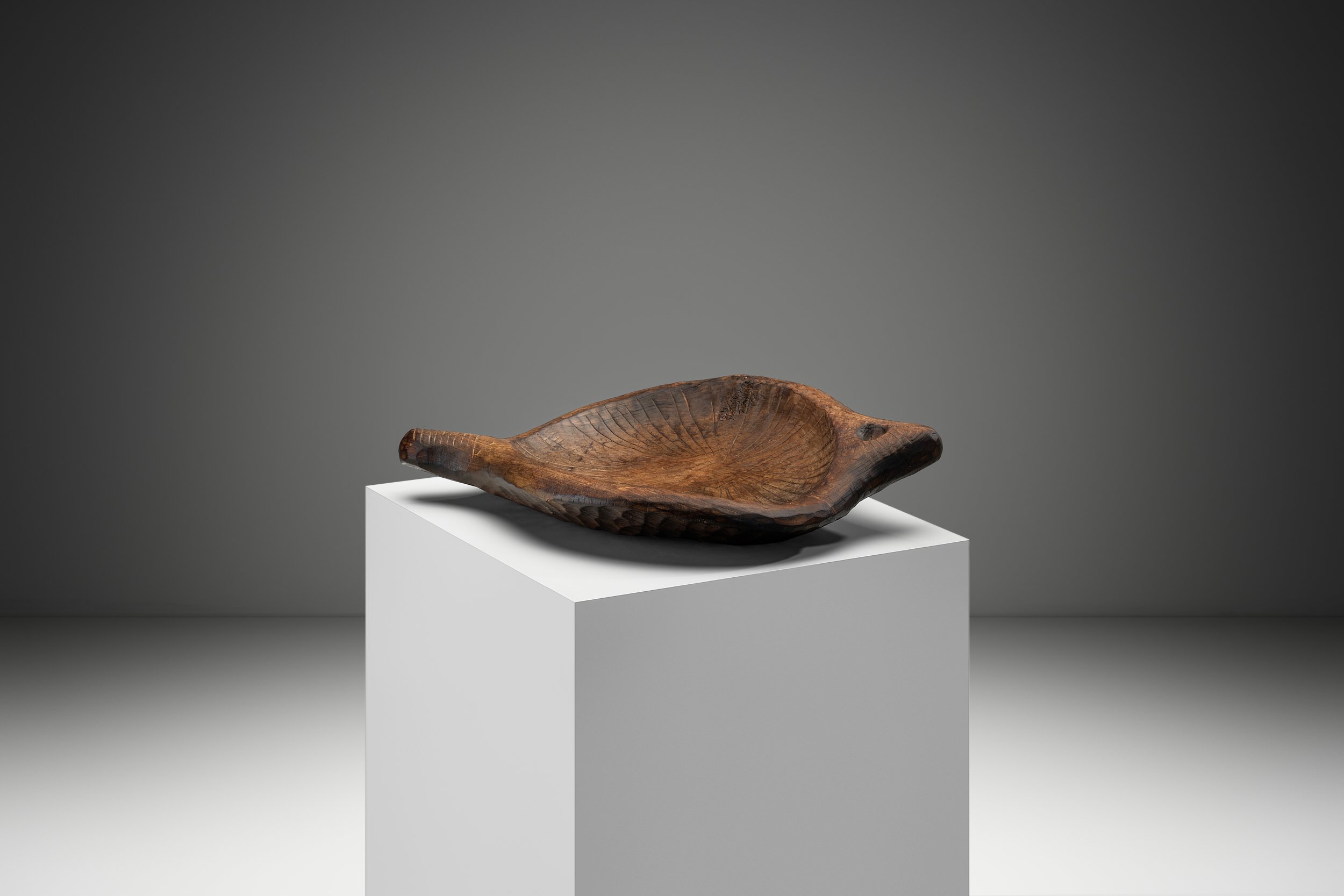 2026-02-120009 1.jpg