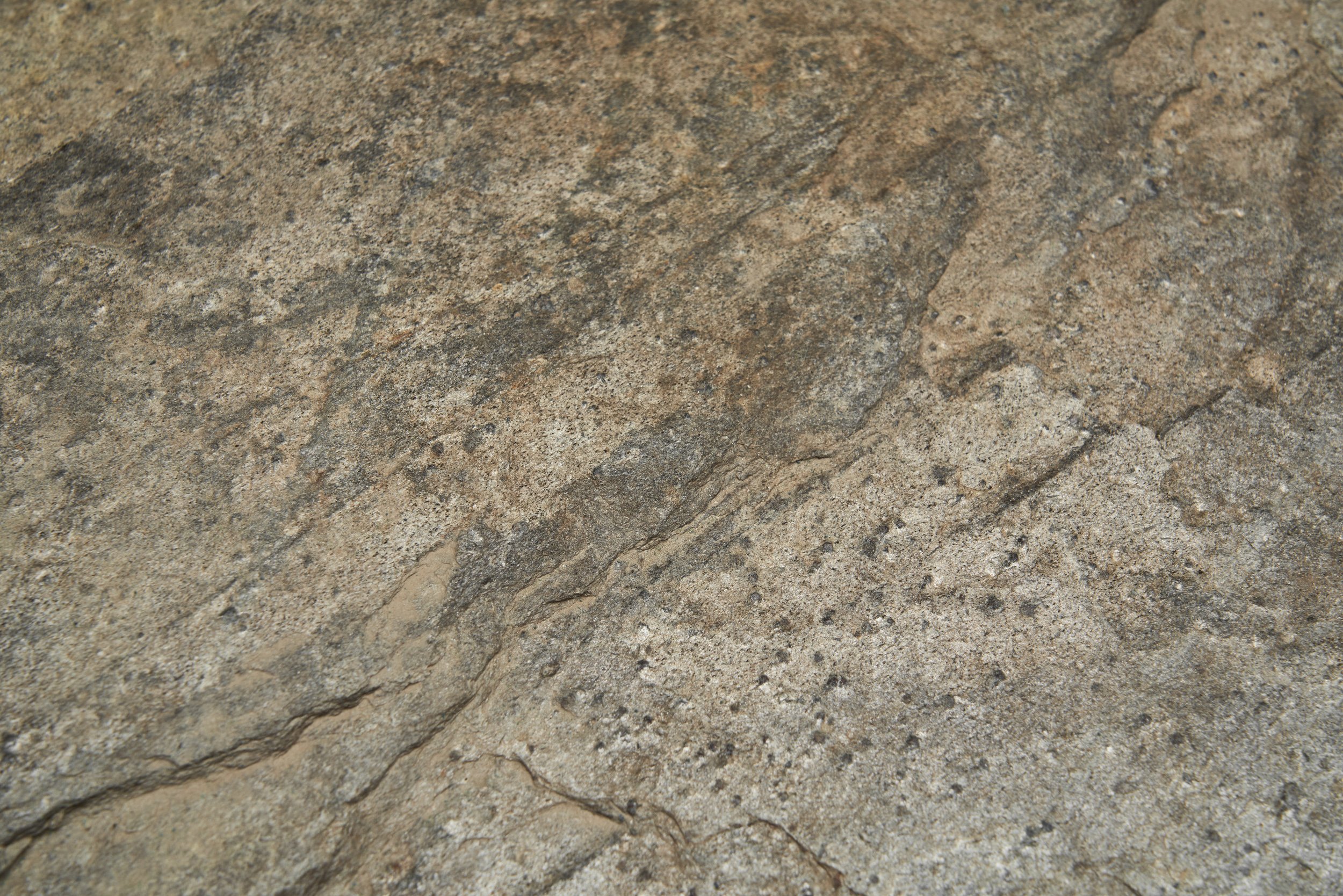 DSC01235 Details.jpg