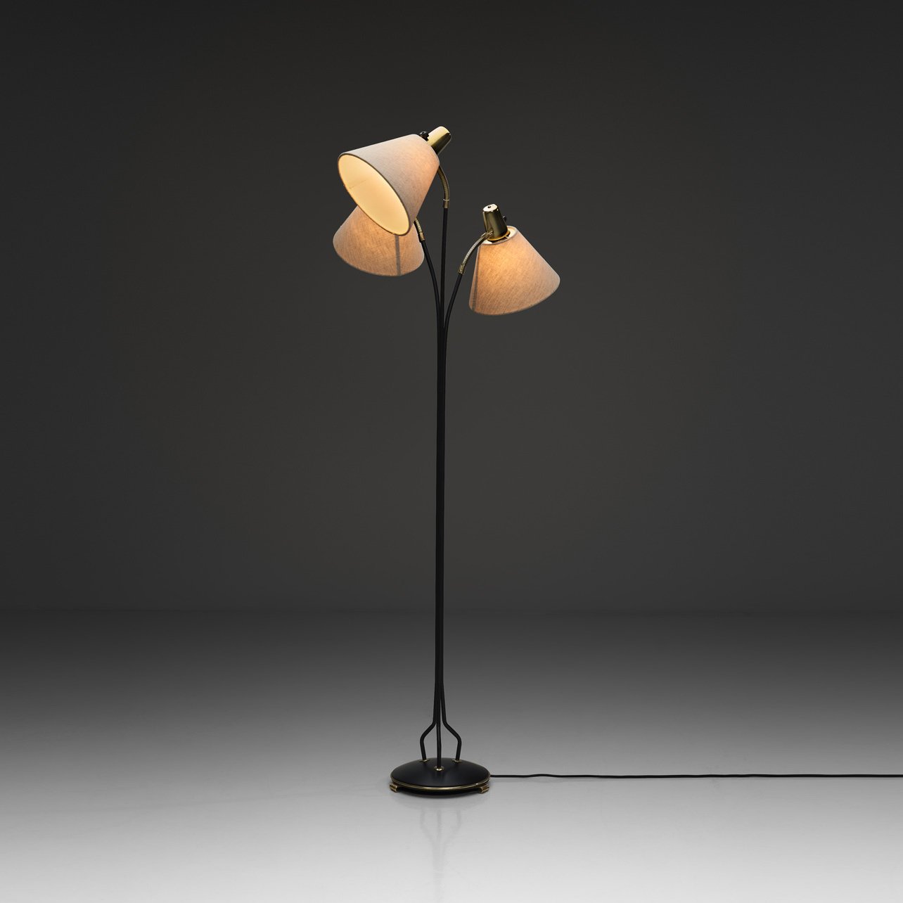 Floor Lamp with Adjustable Arms for Eskilstuna Elektrofabrik AB, Sweden Mid-20th Century