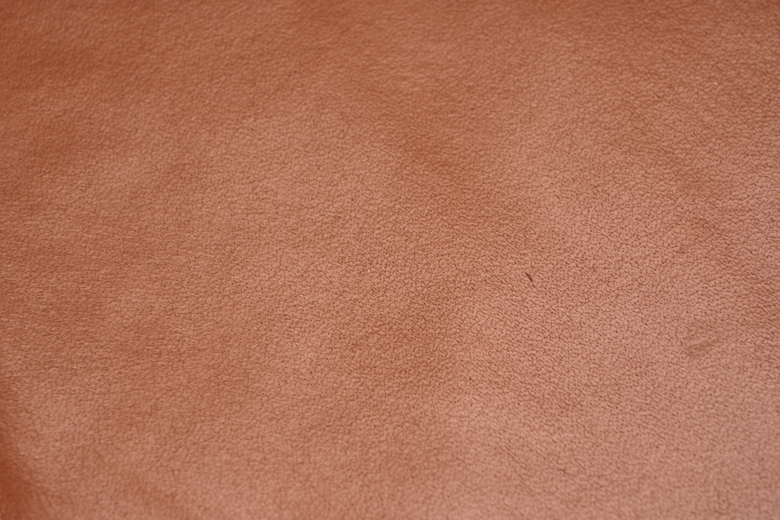 DSC02860_Details.jpg