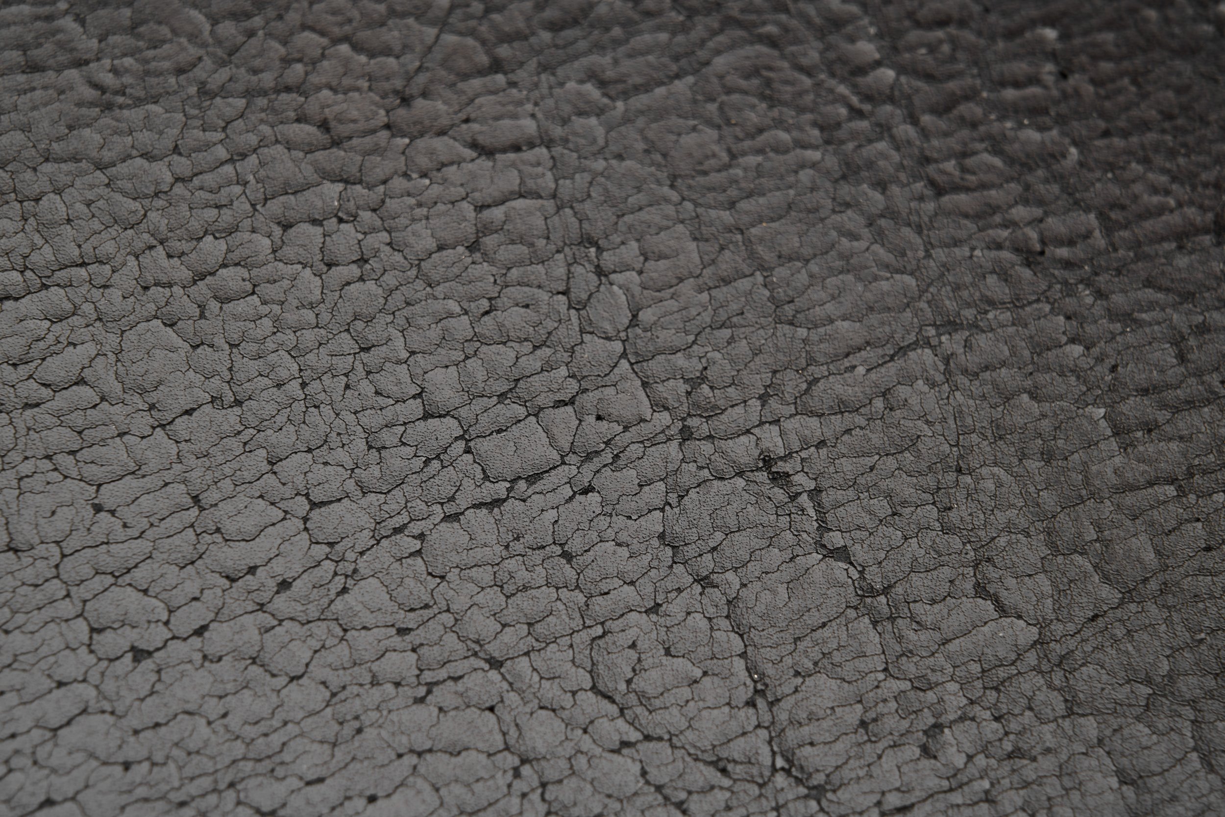 DSC06845_Details.jpg