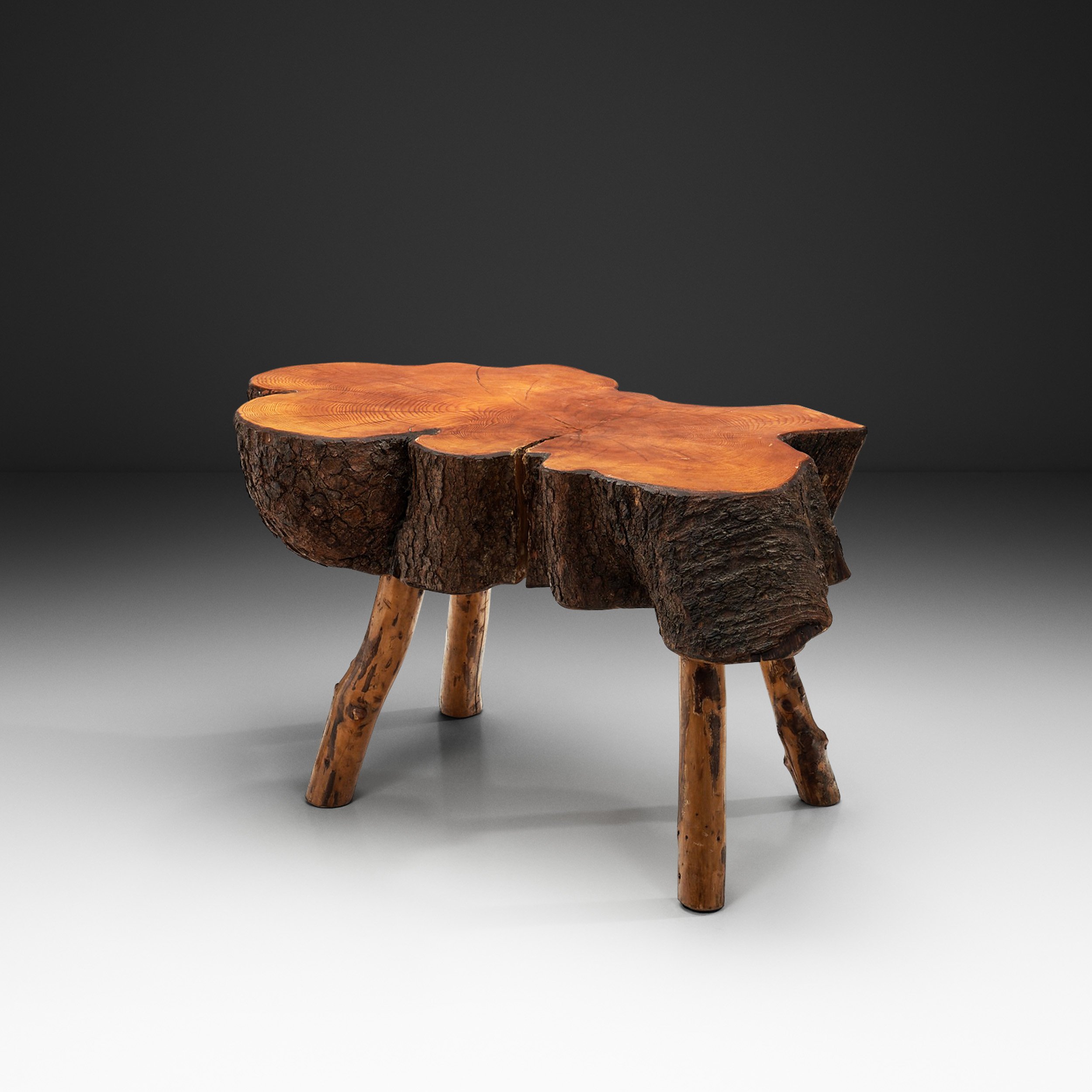 Tree Trunk Coffee Table with Branch Legs, Europe ca 1970s