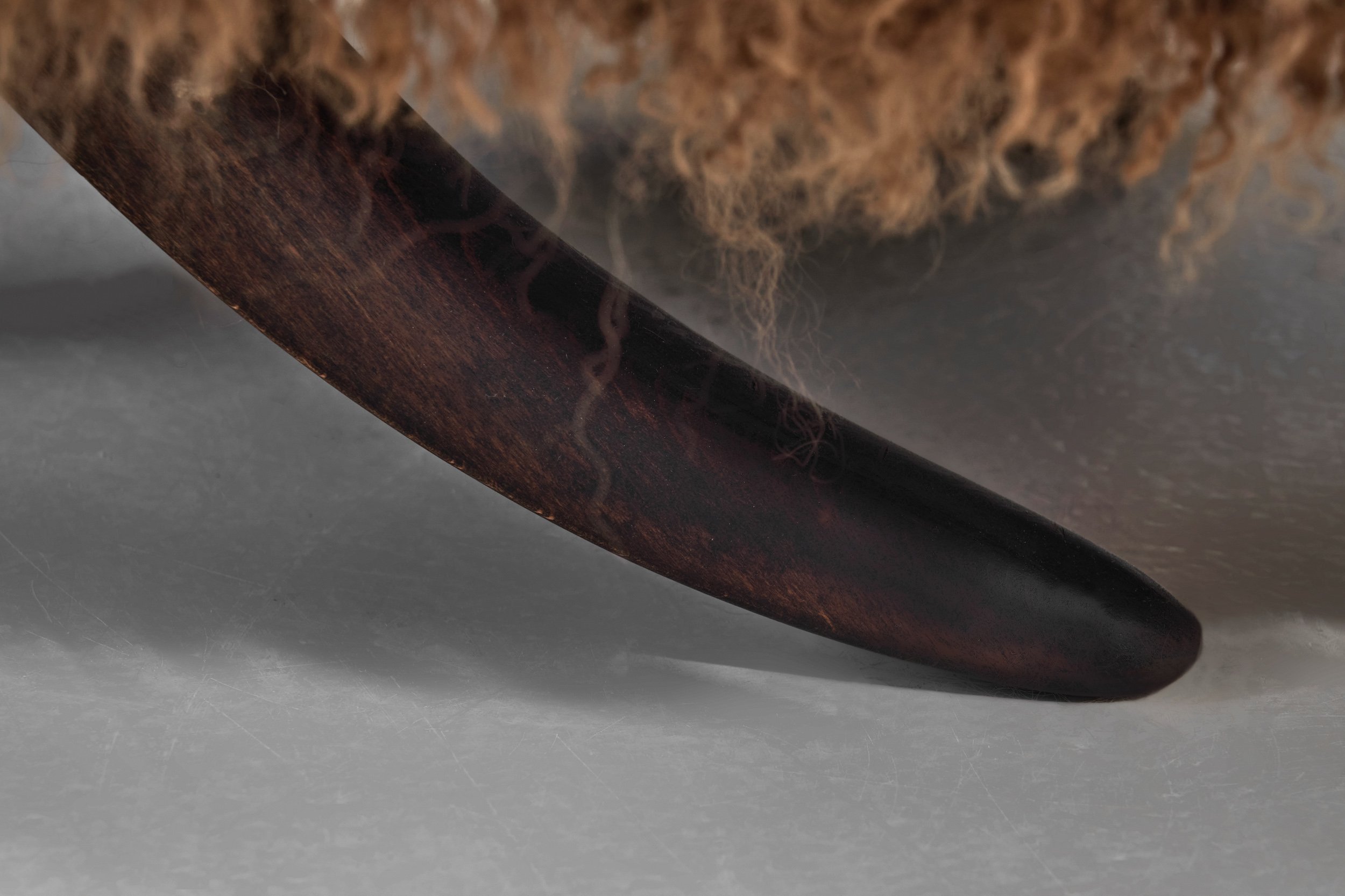 DSC08975 Details_1.jpg