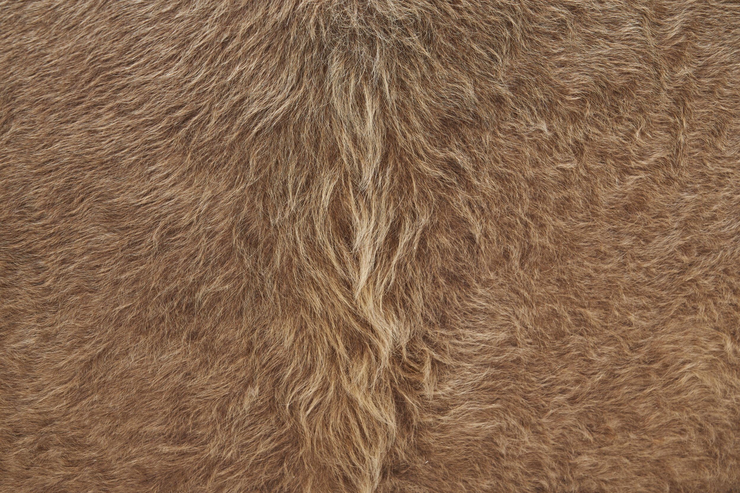 DSC03963_Details.jpg