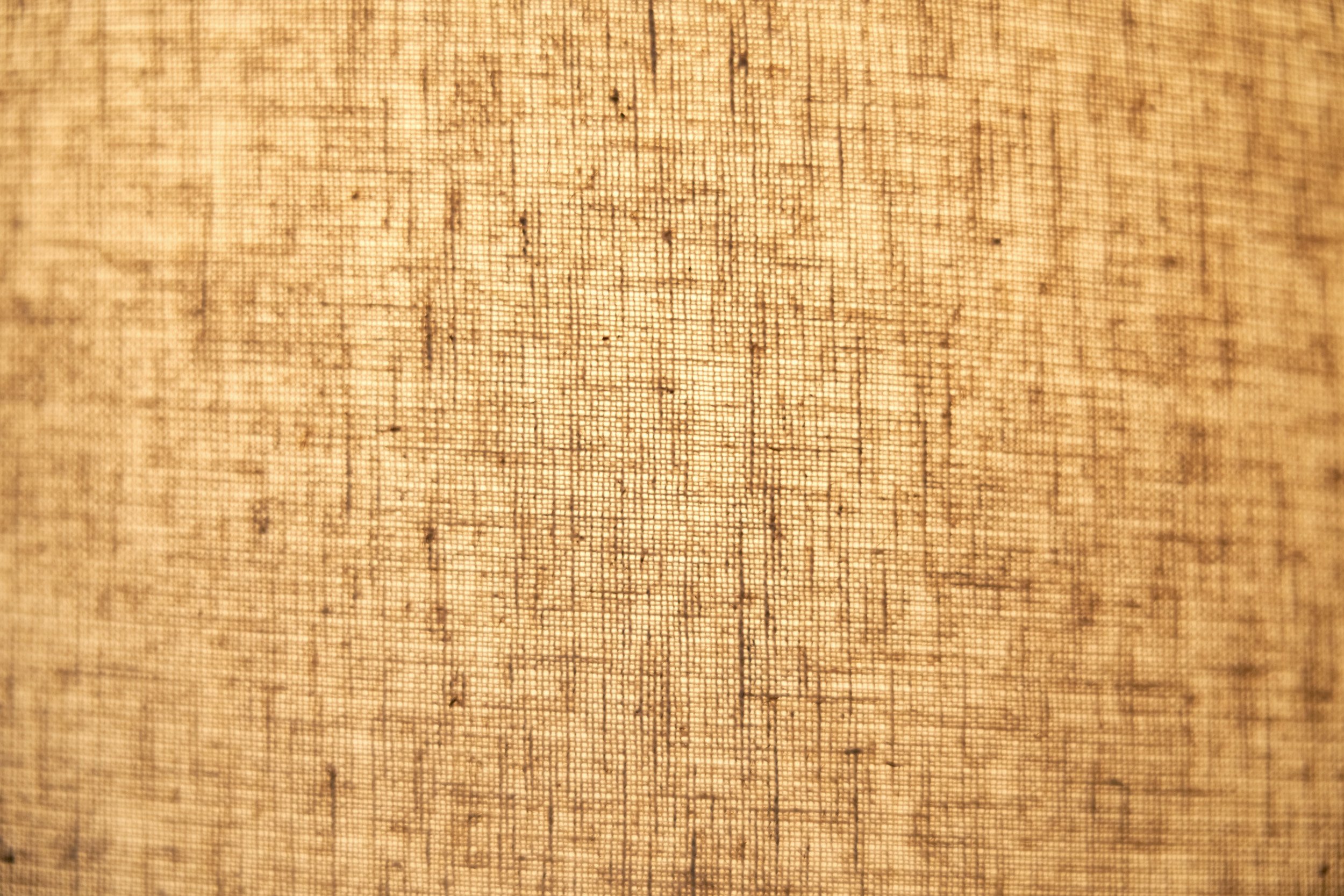 DSC08190 Details.jpg