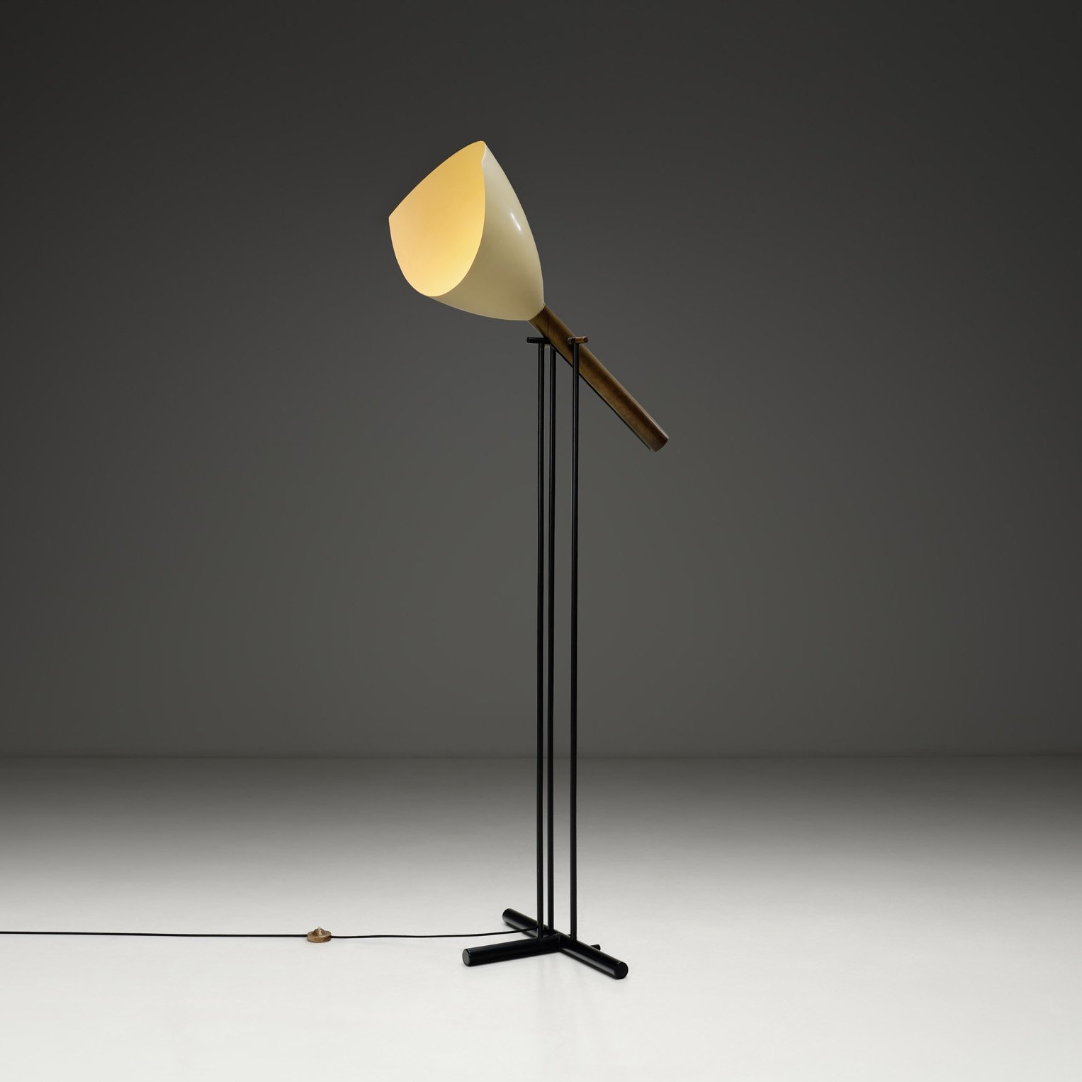 Angelo Lelii Model "Televisione" Floor Lamp for Arredoluce, Italy 1956