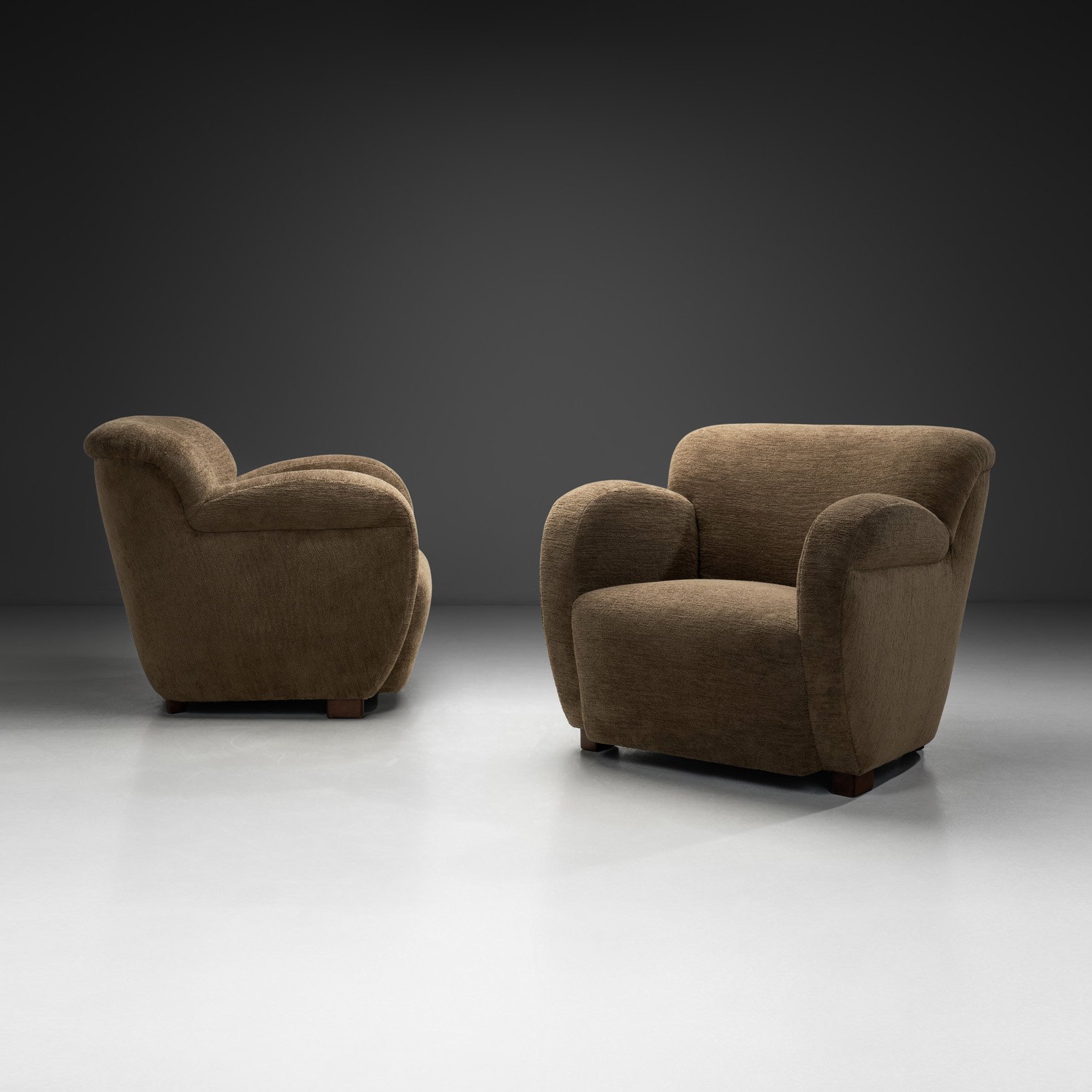 Pair of Mid Century Modern Armchairs, Europe Mid-20th Century