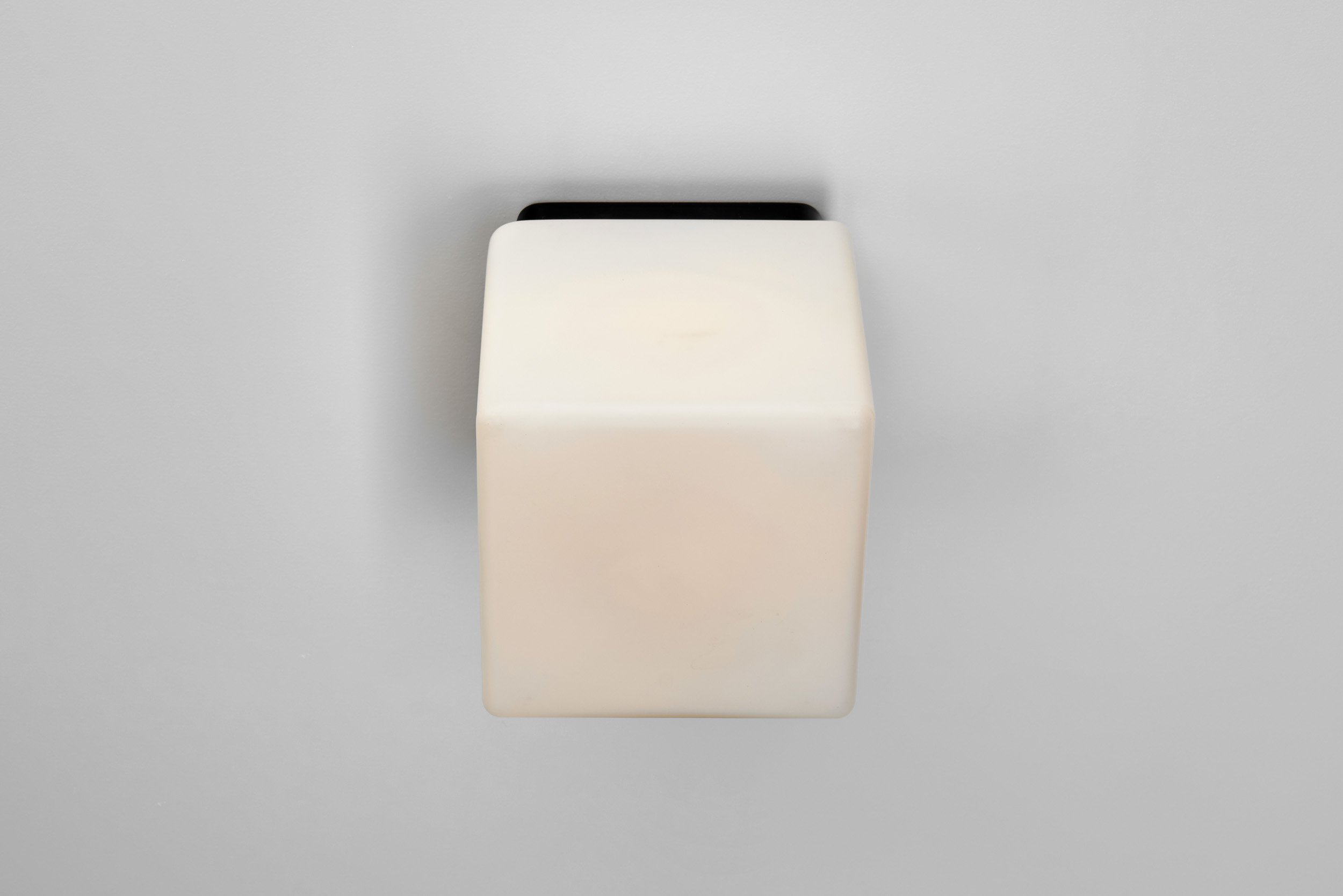 DSC05708 Details.jpg