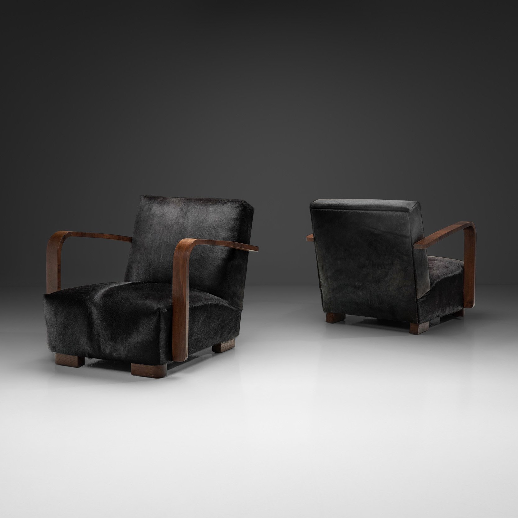 Pair of Armchairs in Ponyskin, Europe First half of the 20th Century