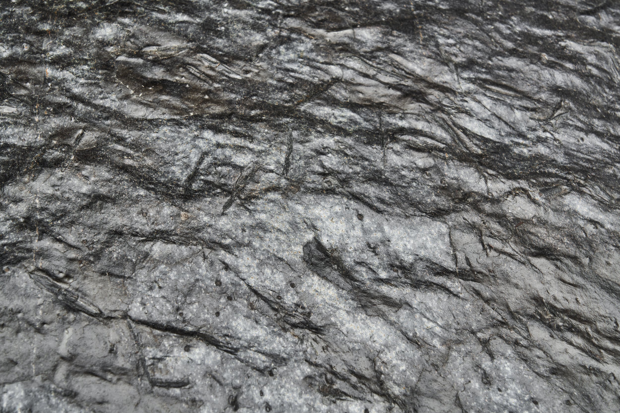 DSC06617_Details.jpg