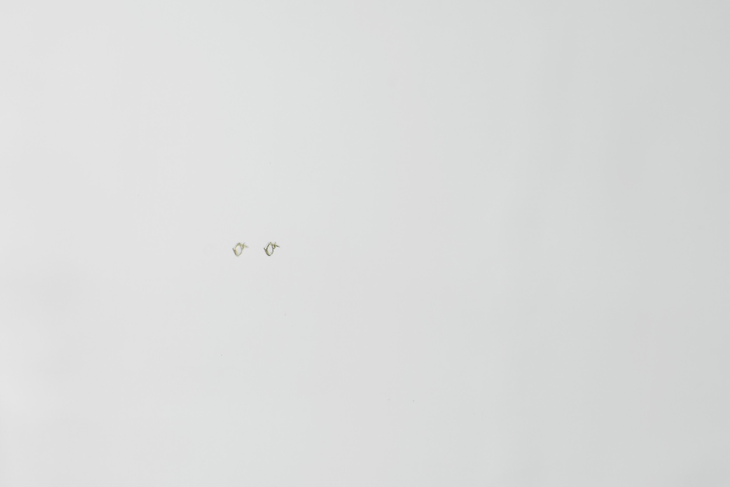 DSC05205_Details.jpg