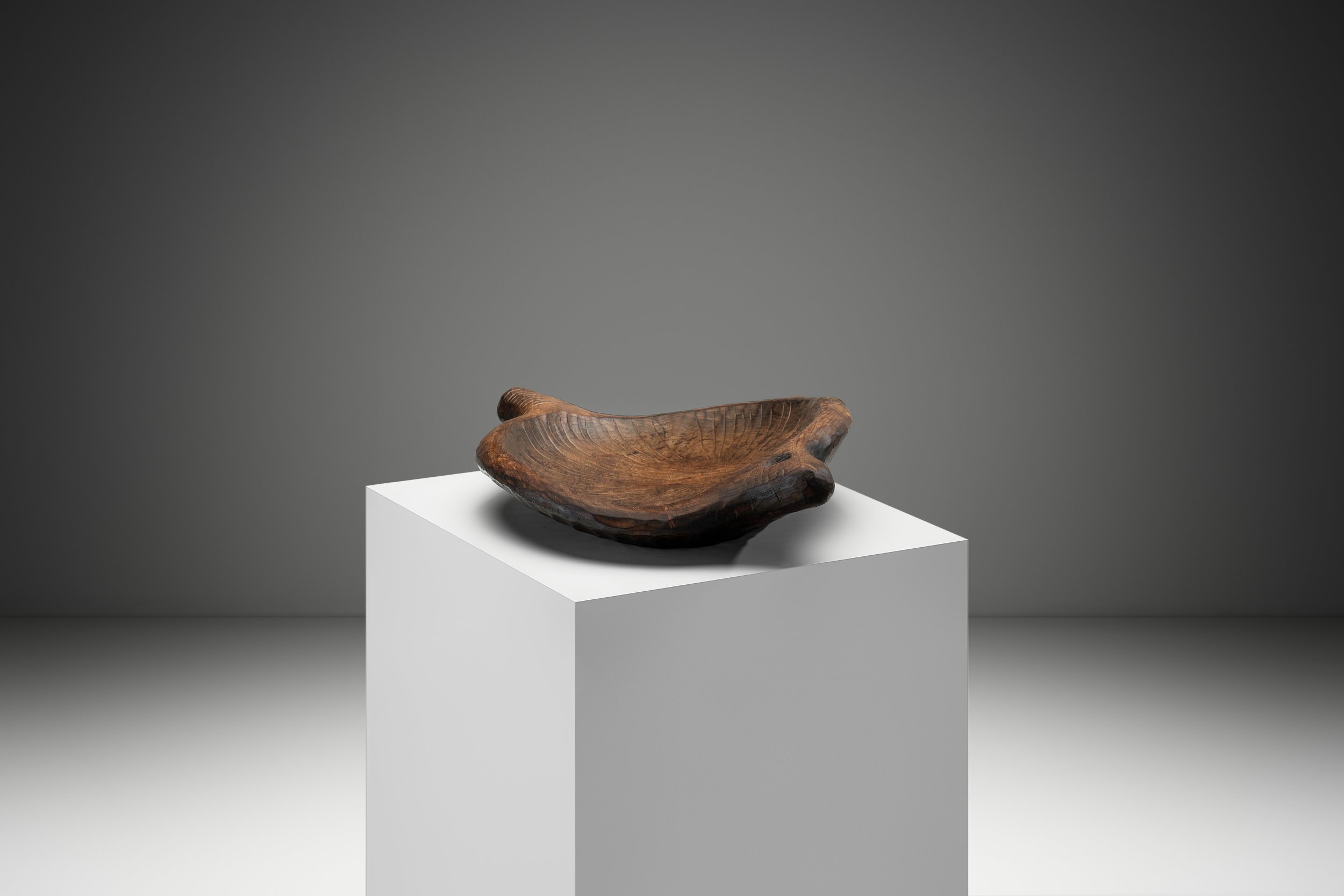 2026-02-120010 1.jpg