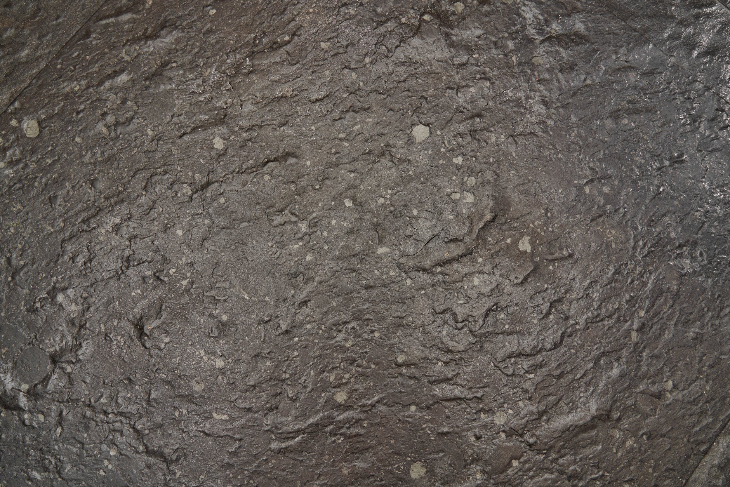 DSC06603_Details.jpg