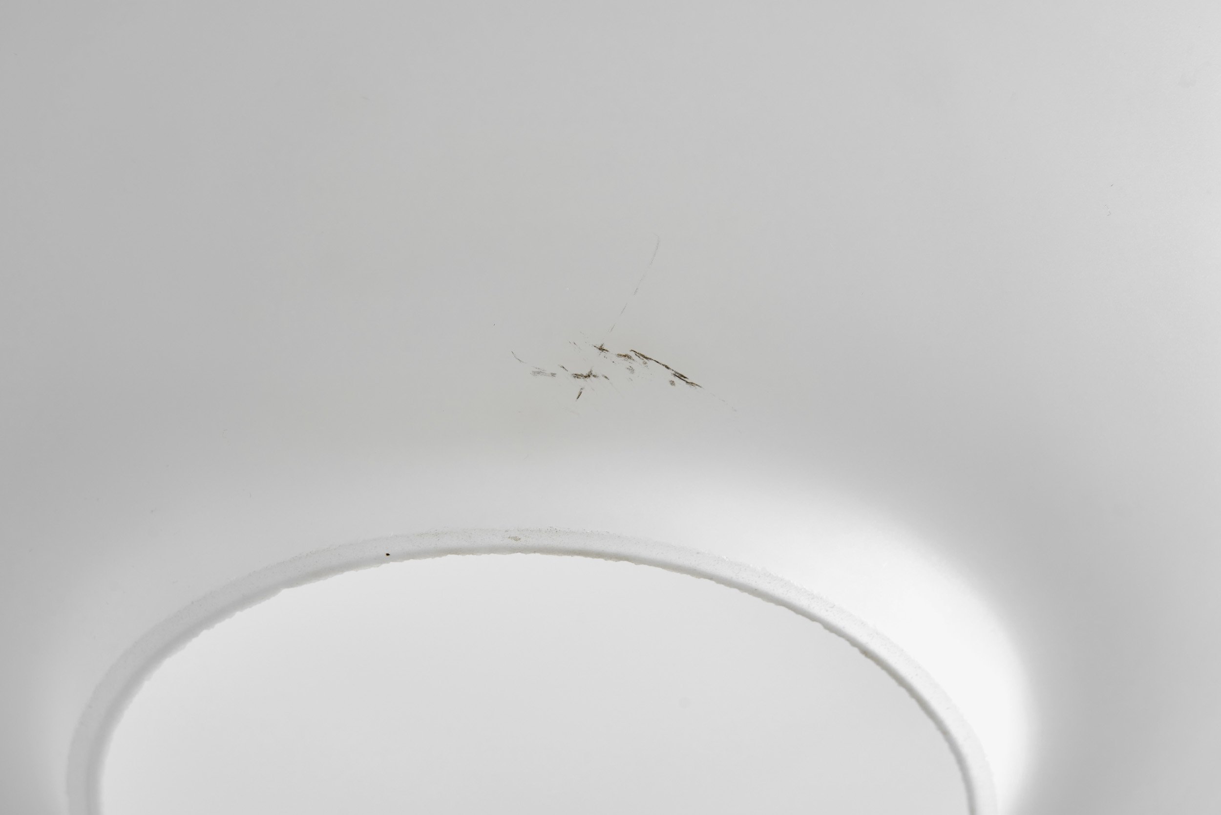 DSC04411 Details.jpg