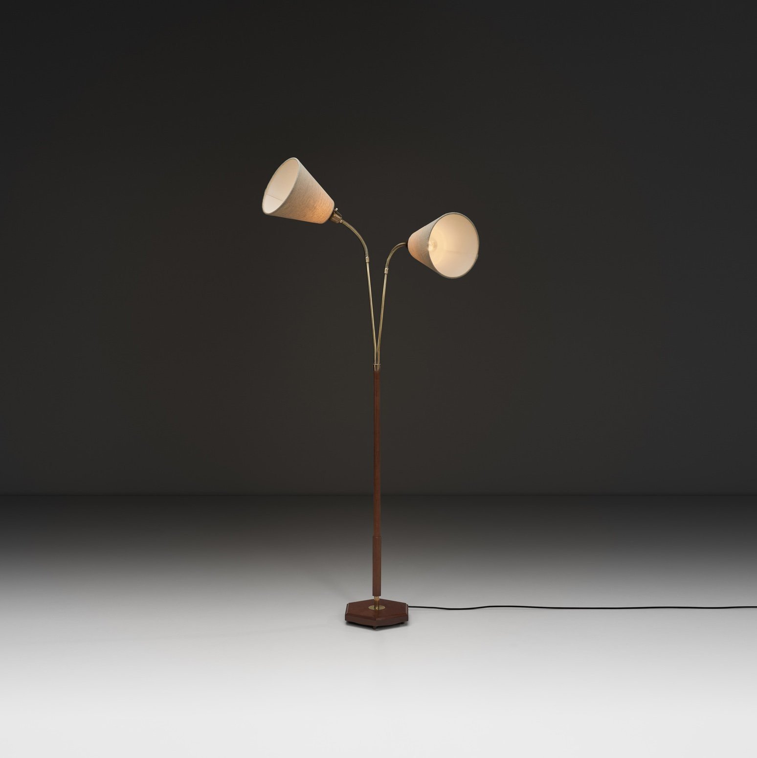Brass and Wood Floor Lamp with Two Adjustable Arms, Europe Mid-20th Century