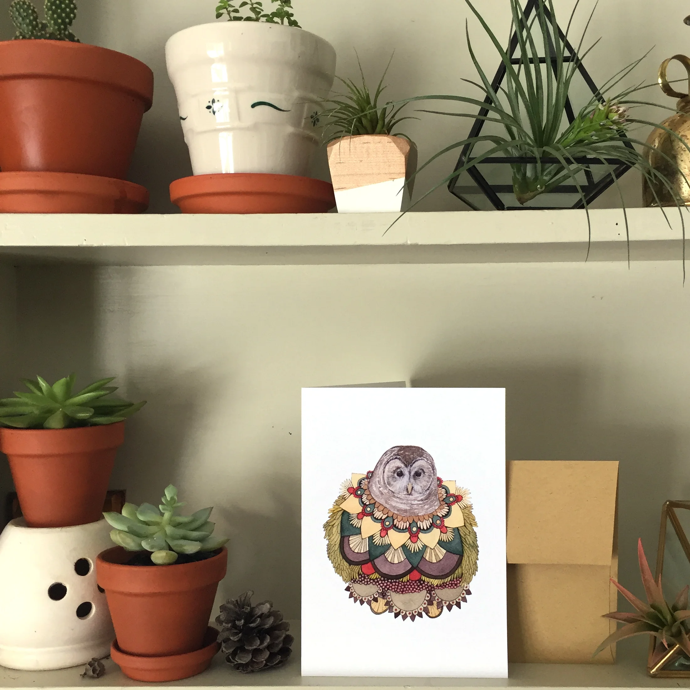 Jess Polanshek // Polanshek of the Hills