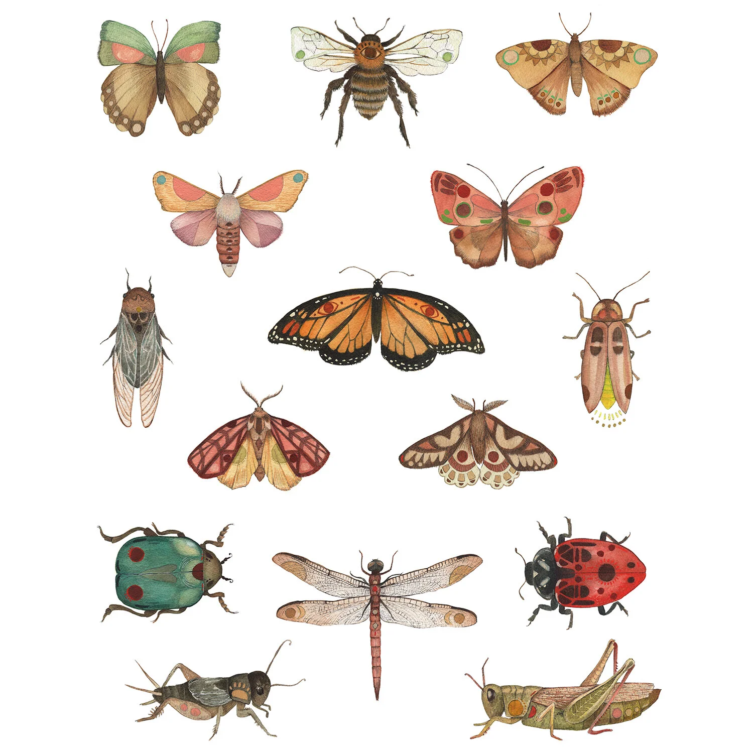 Bug Collection web.jpg
