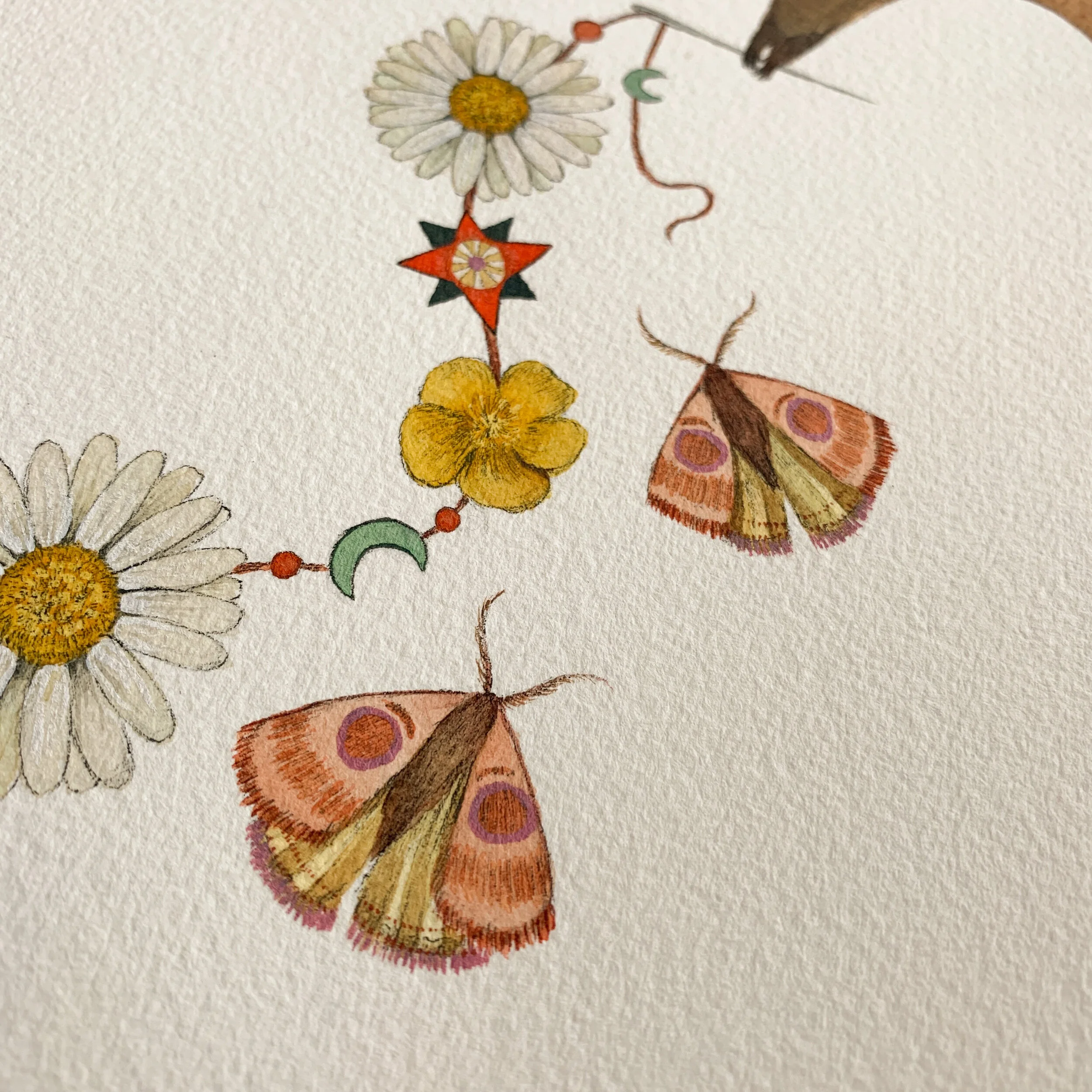 C2836883-0C94-4EF8-B895-1E6631080C37 copy.JPEG