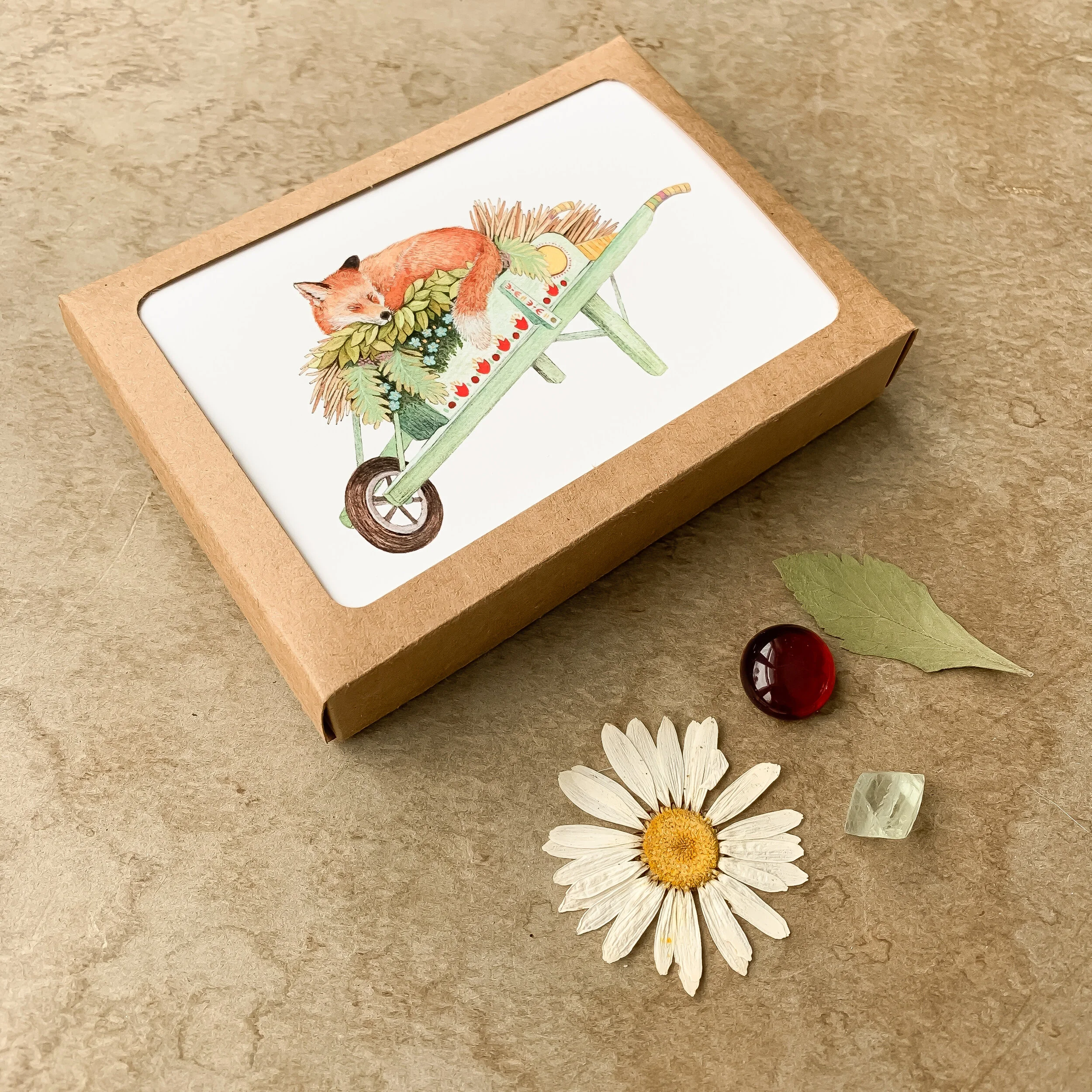 8E2E2F19-828E-4693-BF81-6D3BCB068088 2.JPEG