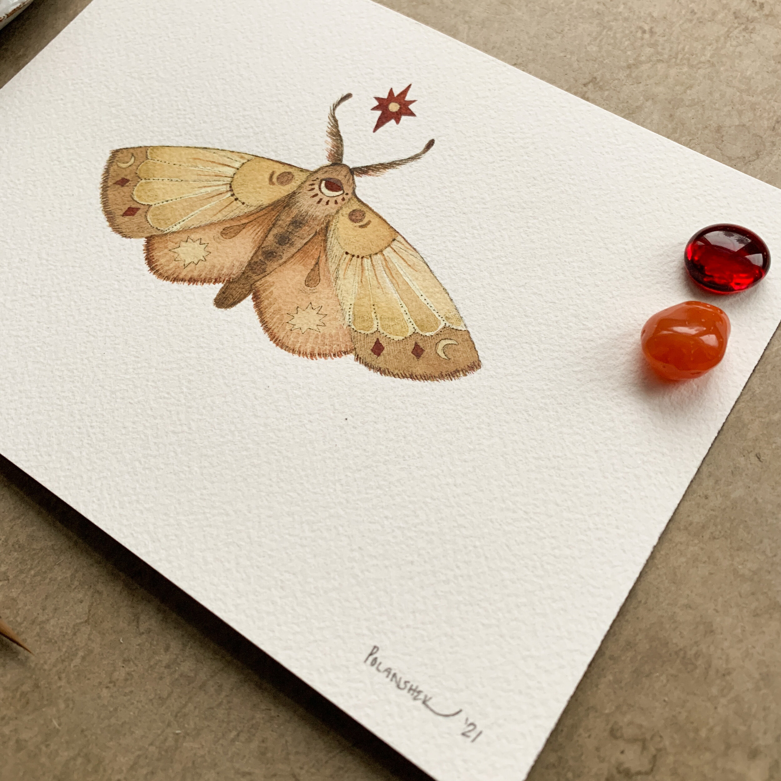 41EBD9C8-ECE4-4C73-9A2B-8521C1AE1372 2.JPEG