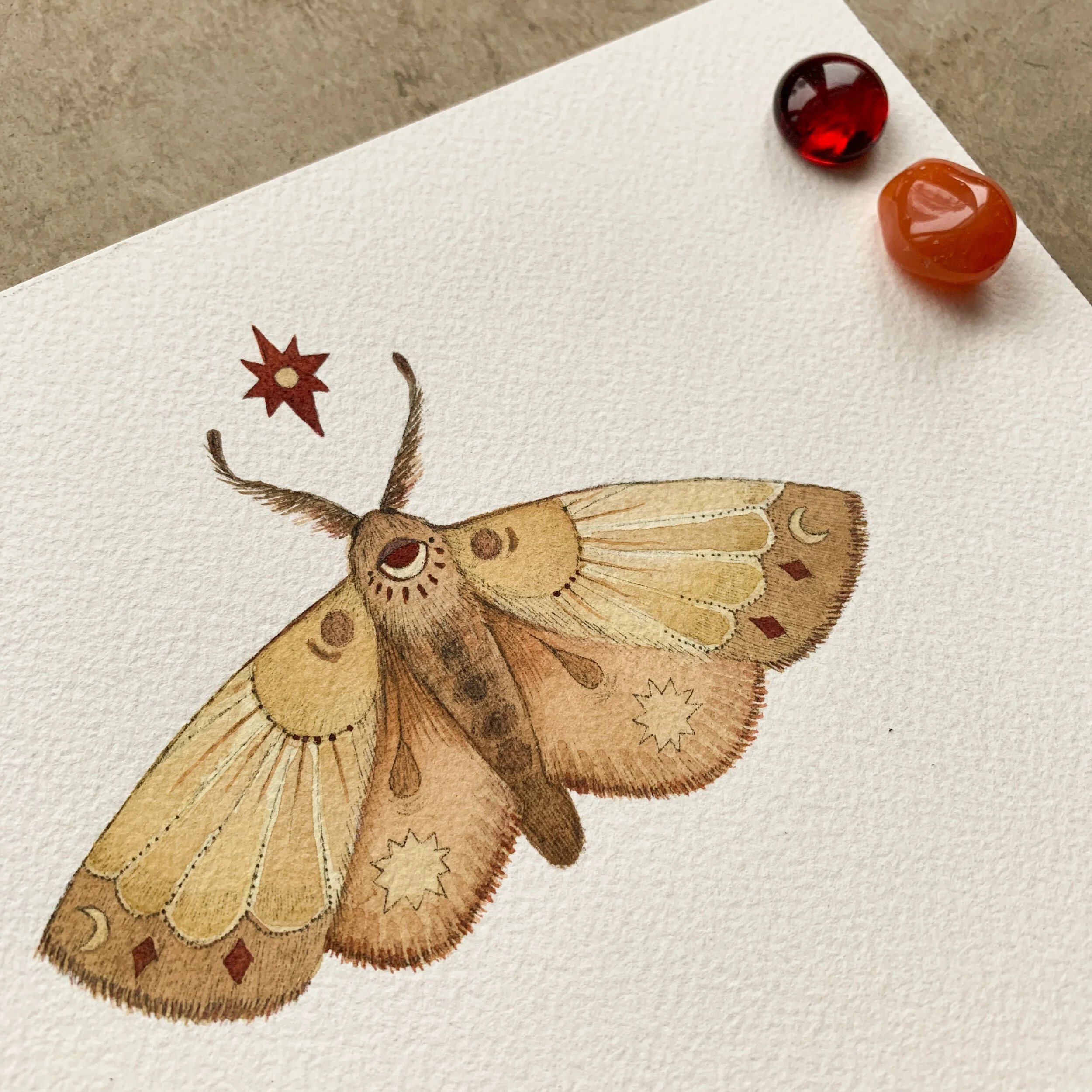 DDB5B791-CDF7-40F0-AB70-773A08DEA1A5 2.JPEG