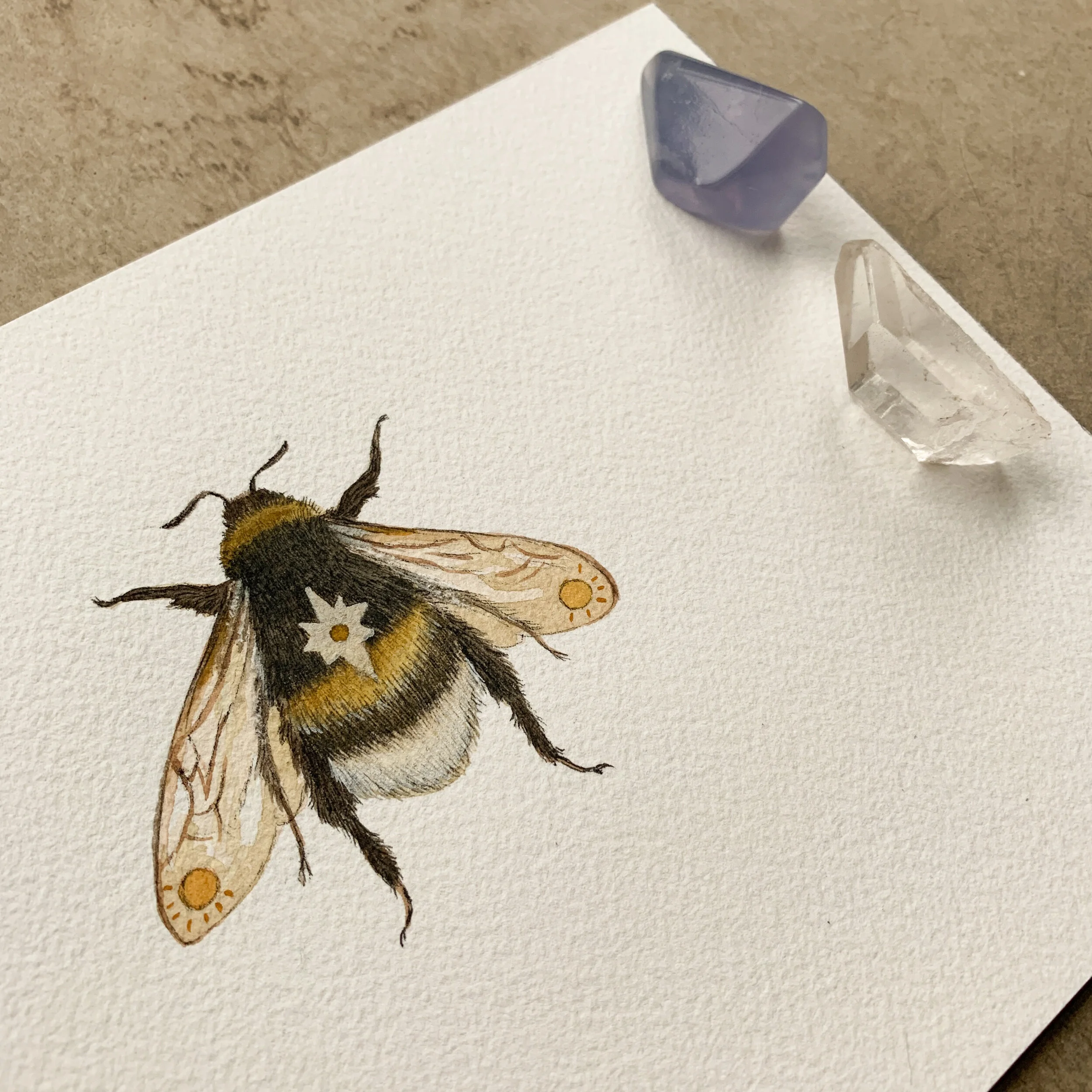 7E602B51-6E5A-415C-87A6-A3F2676AF5A0 2.JPEG