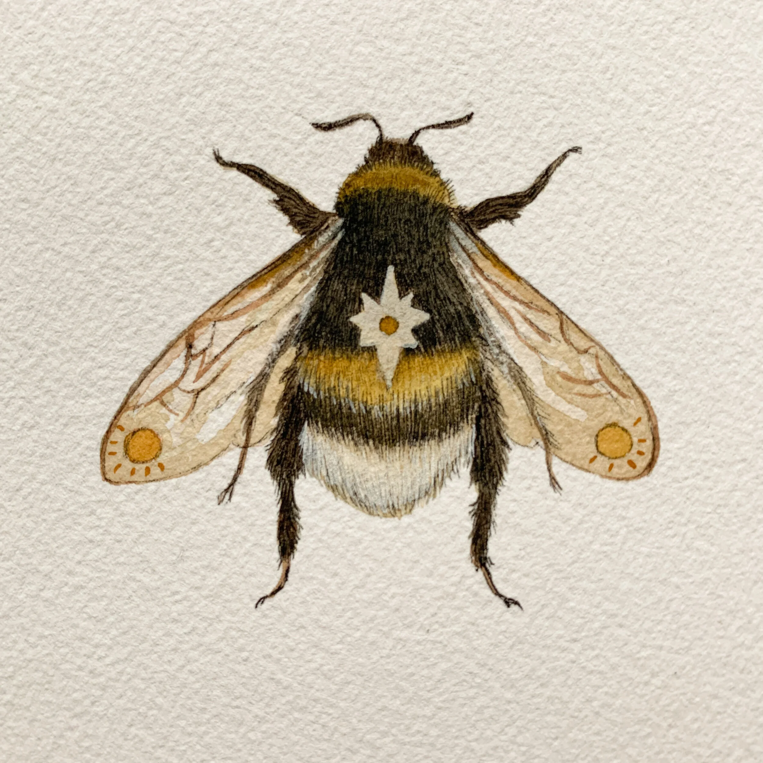 451E363C-45D7-4818-AF00-1F5B44665047 2.JPEG