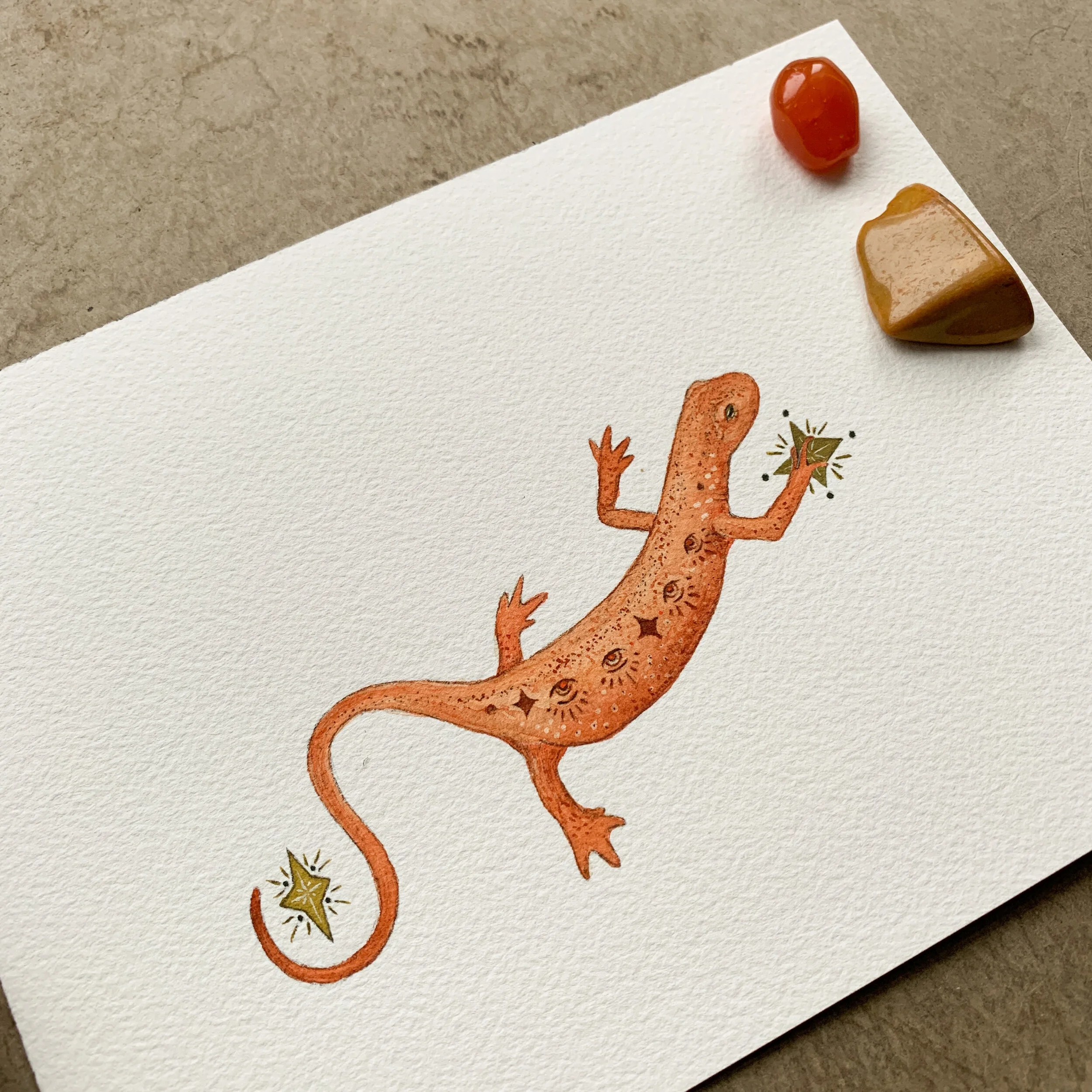 9760AADC-B94F-47EB-9734-CE2F9A3EE3A5 2.JPEG