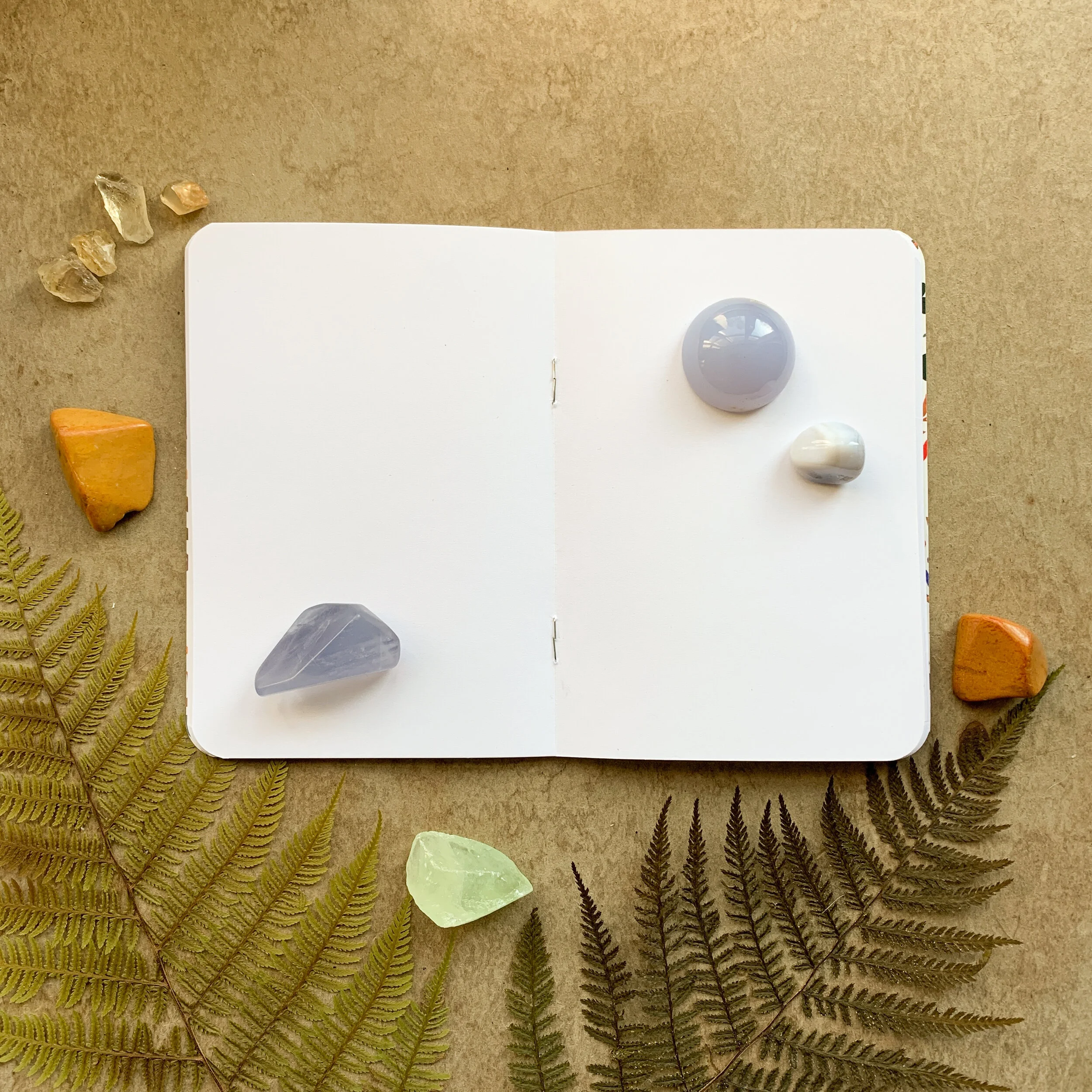 0CF49E0C-B629-42F9-B8F2-A1A28BAC9B49 3.JPEG