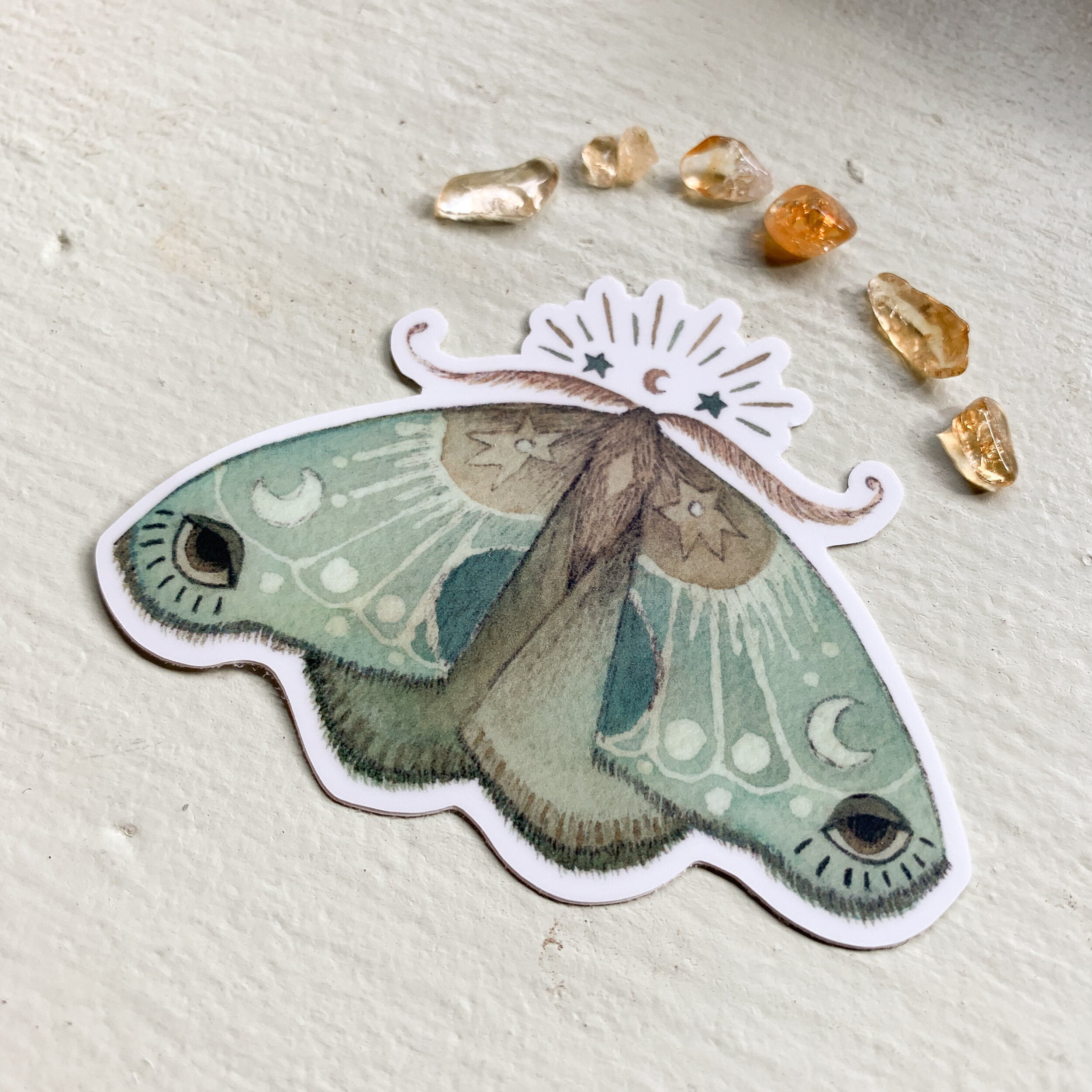 01D6E618-290A-4A95-B962-BB816B85C0FD 2.JPEG