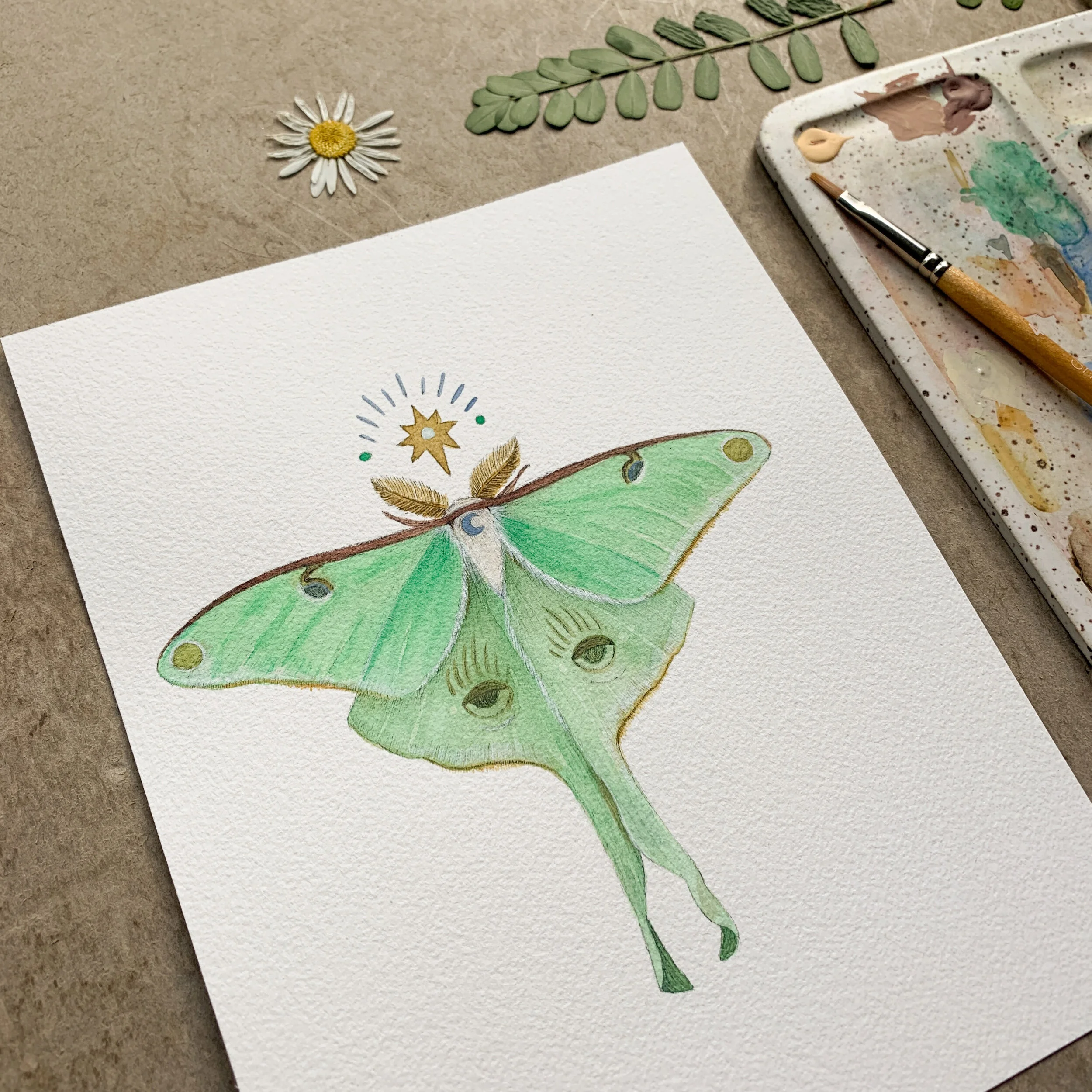 5F7A59A8-B6A7-4DB8-B2C2-62FE9EE6122C 3.JPEG