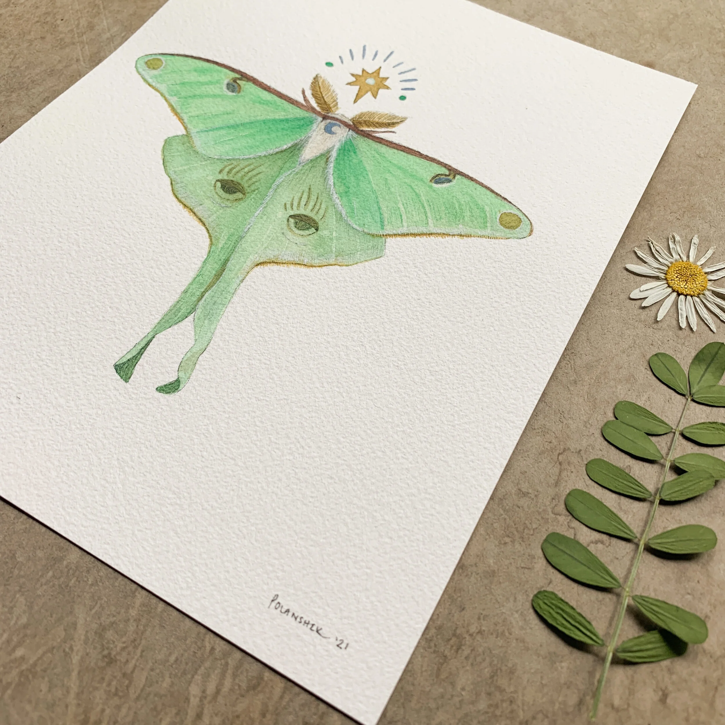 7BBCA267-E6BC-4E41-AC50-7B0AB323F9A2 3.JPEG