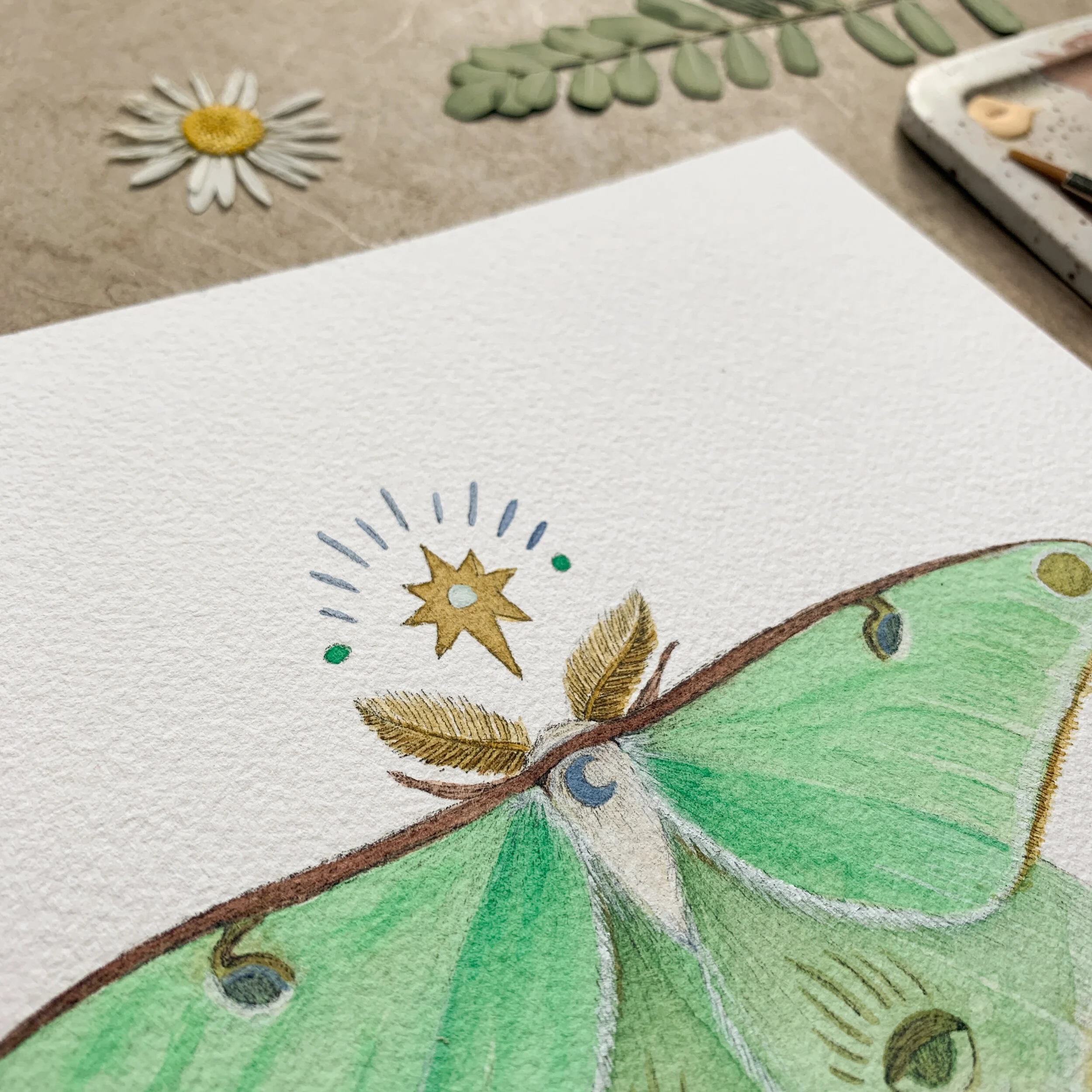 F46CE43C-7B93-40B1-A5FB-6E8FE7C0E341 2.JPEG