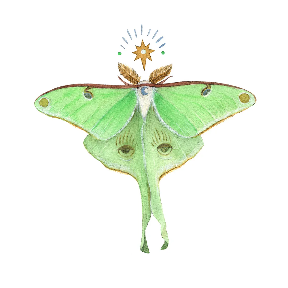 Astral Luna Moth Print Polanshek Of The Hills