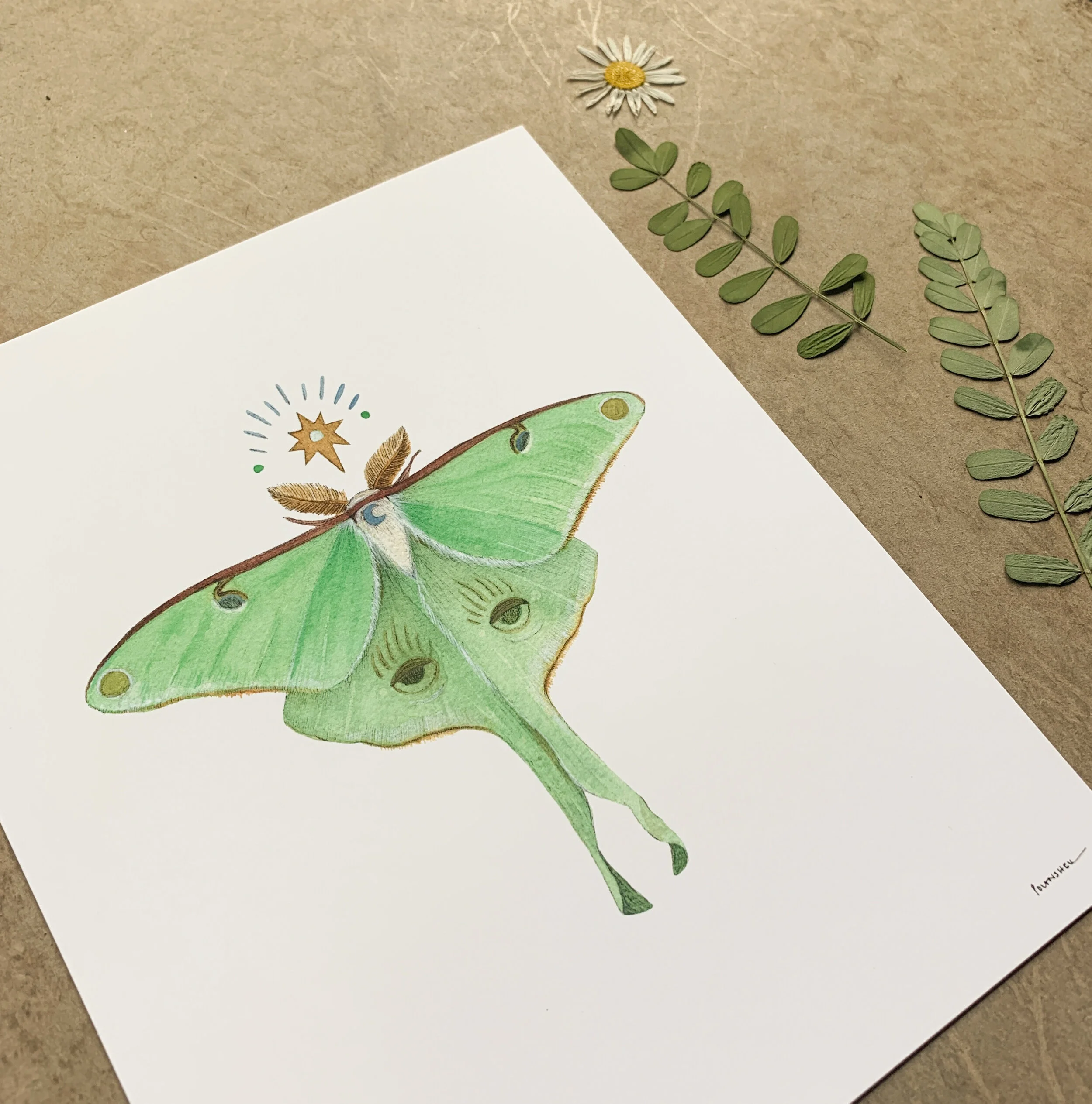 0C8AE35A-A8F6-4F4F-B12D-661BC8943867 3.JPEG