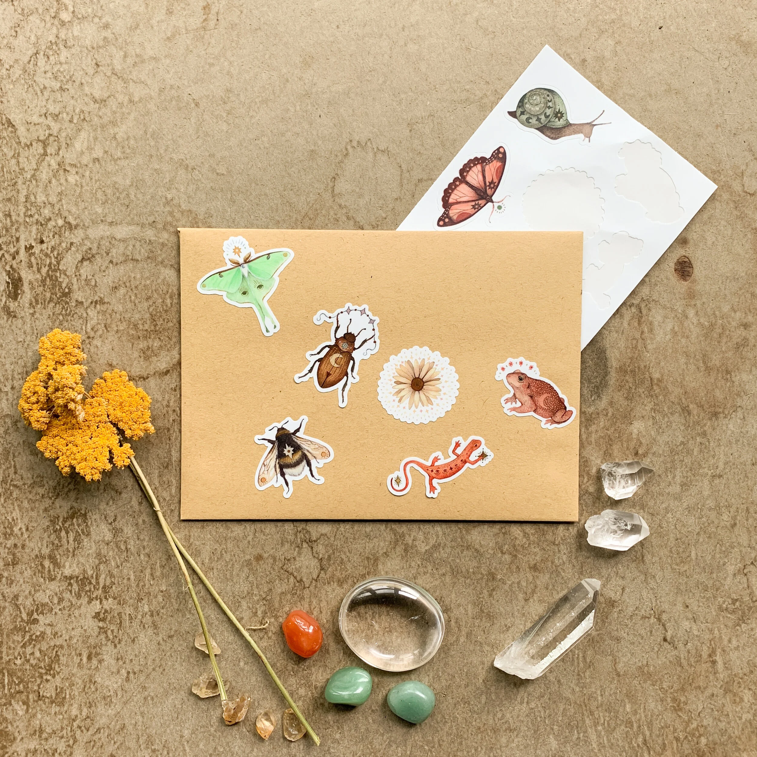 3631D8C3-662B-4733-8DE6-9D8D3FE75DF2 2.JPEG