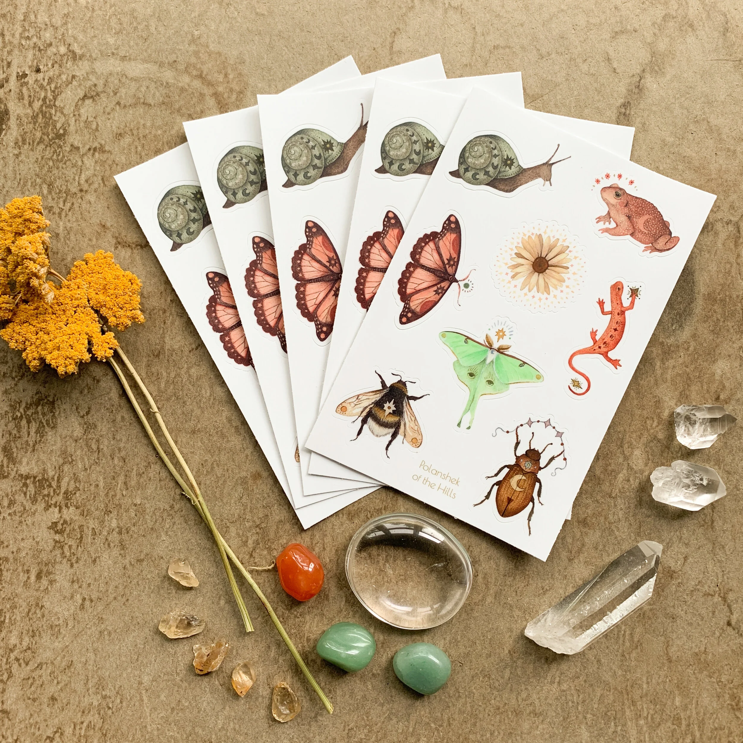 2A7DDF72-297E-40DA-B7D6-D361018CF93D 2.JPEG