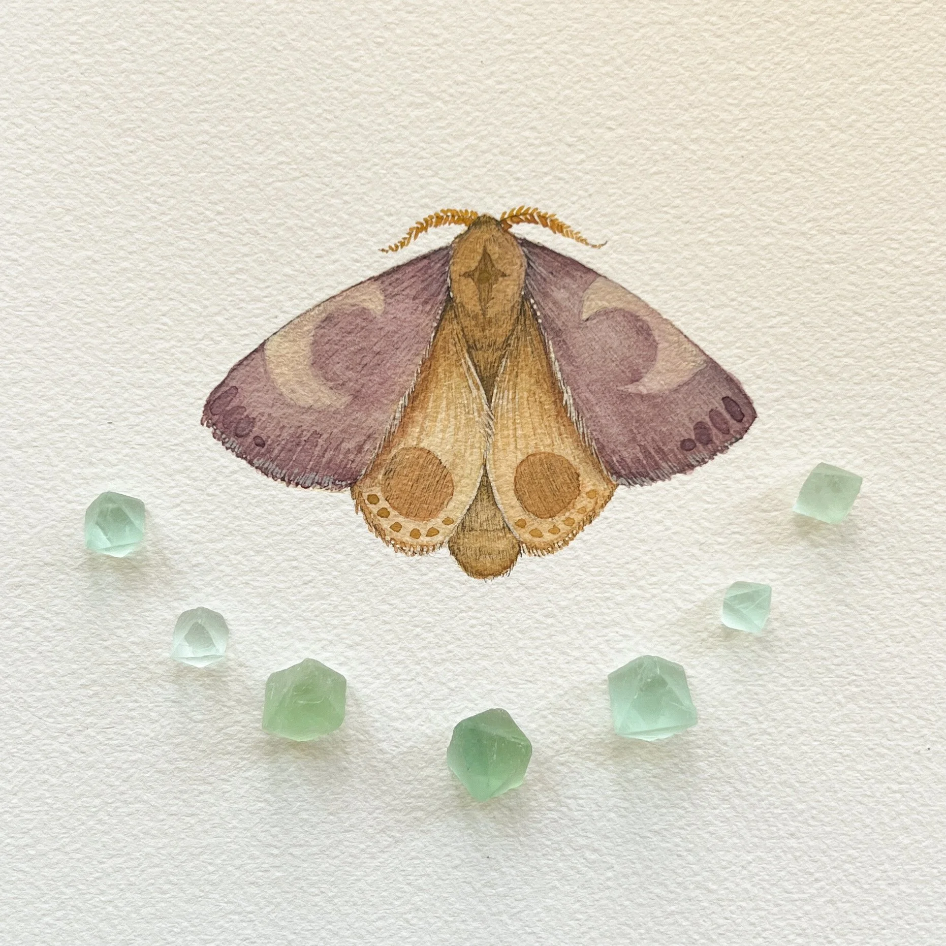 F8EF3DE5-7815-465B-B023-67F43CDFF750 2.JPEG