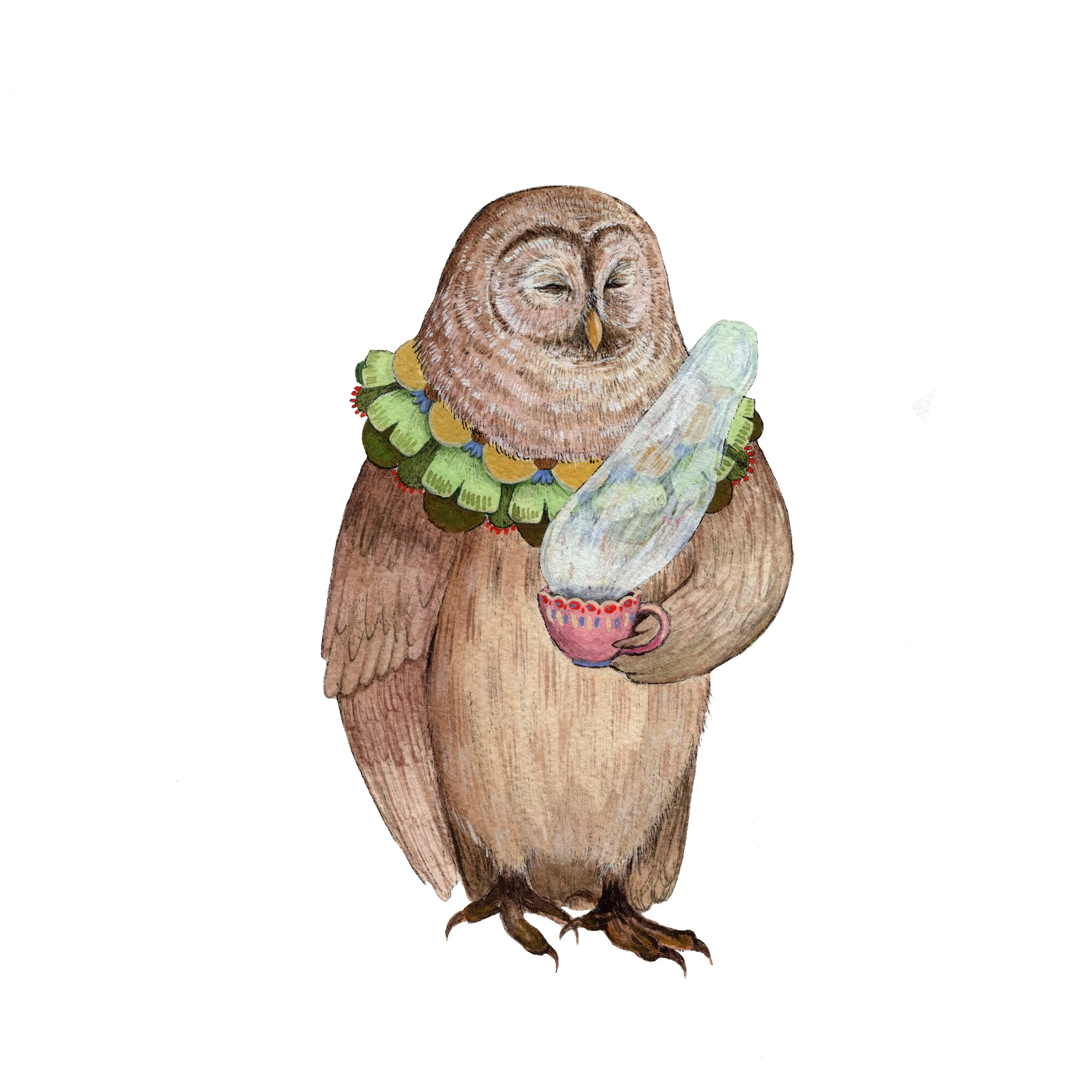 owen owl web.jpg