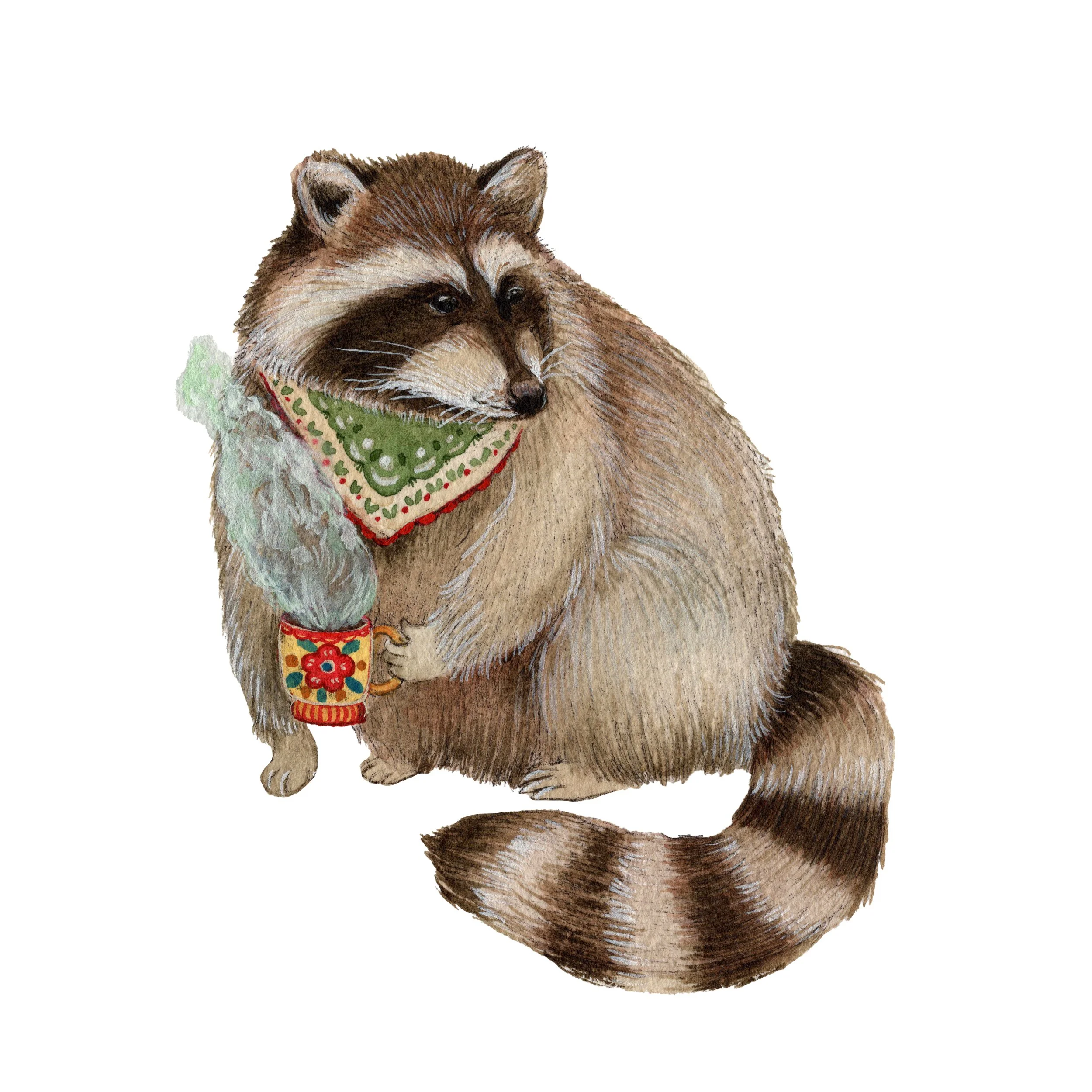 Rocky Raccoon web.jpg