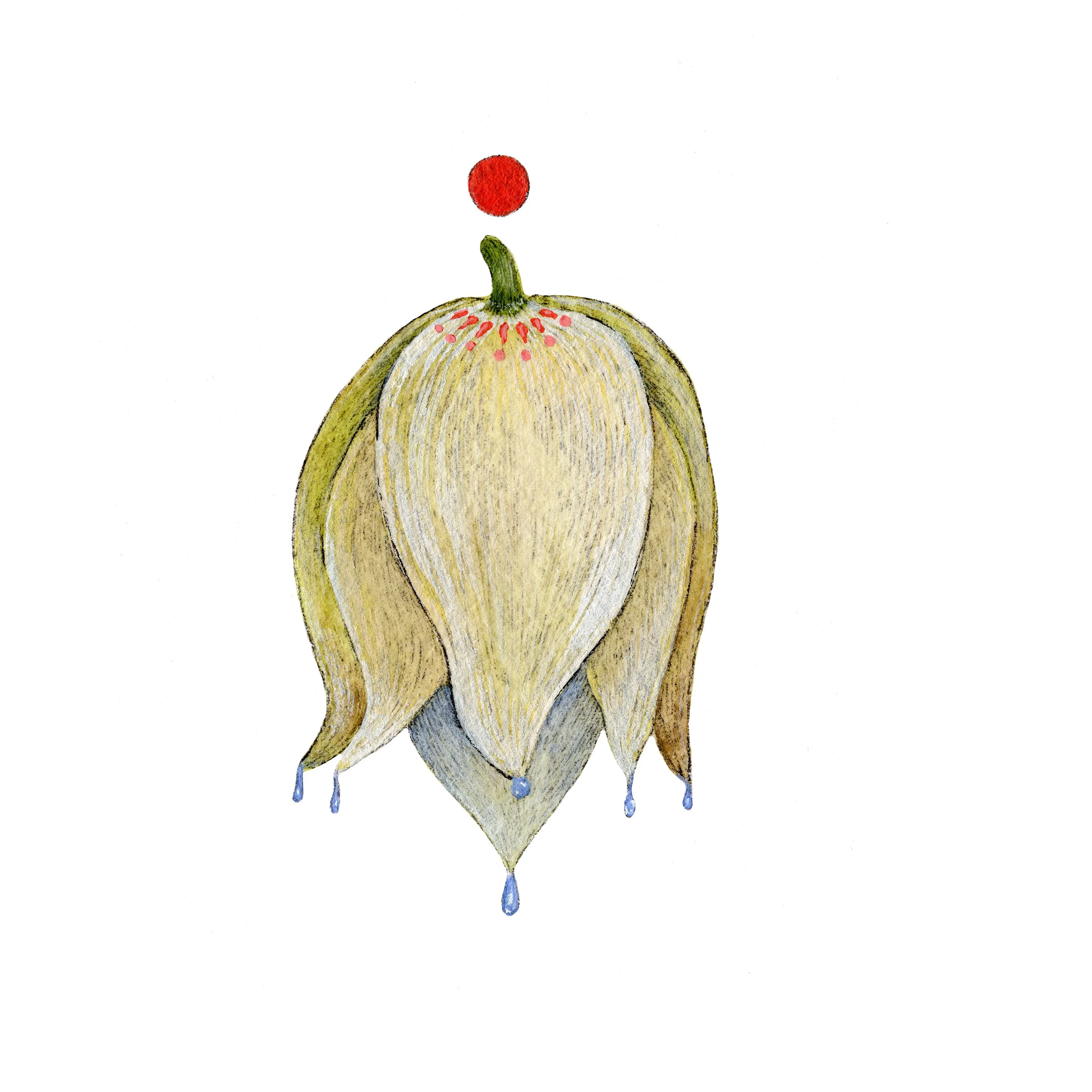 Yucca web.jpg
