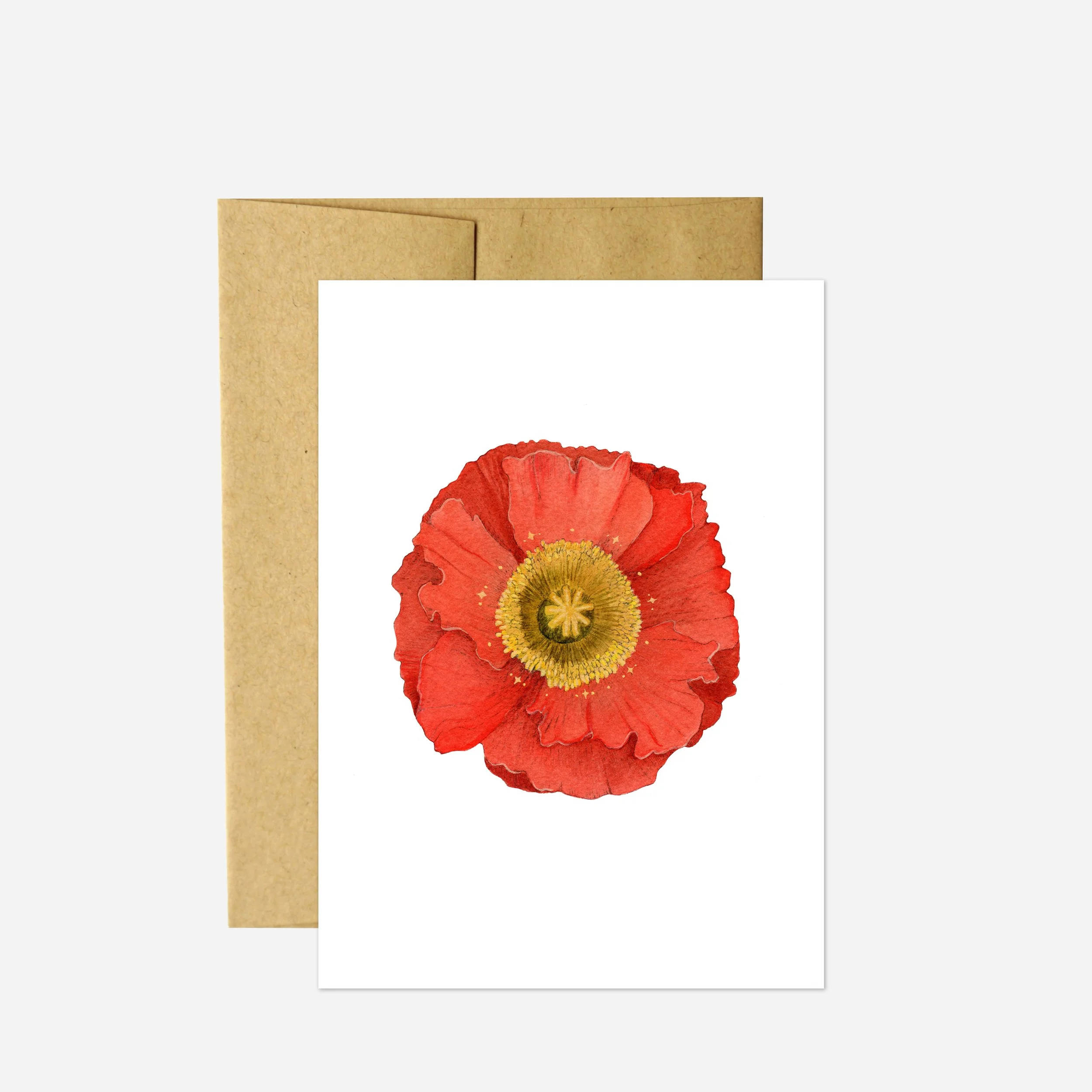 poppy.jpg